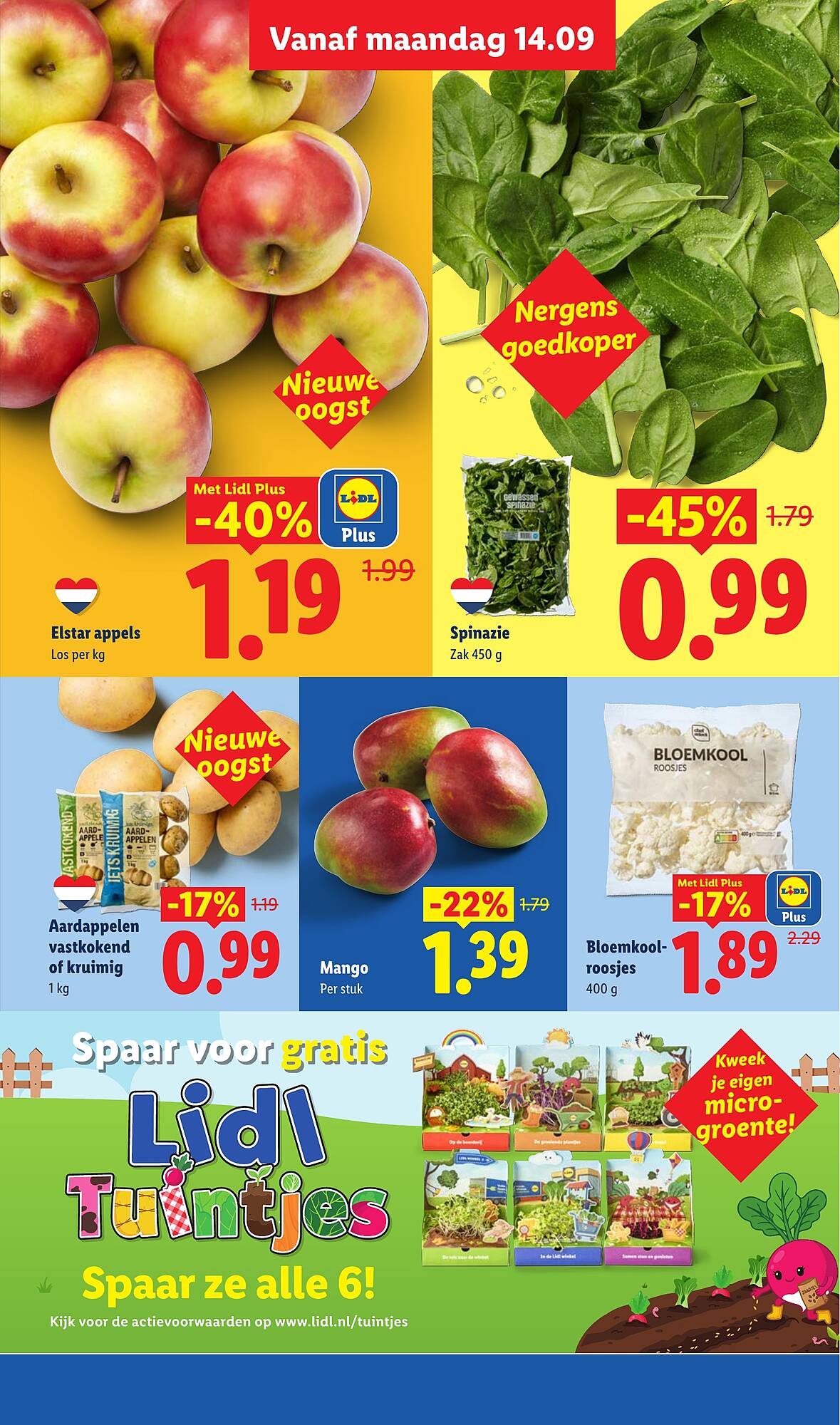 Lidl folder - Pagina 5