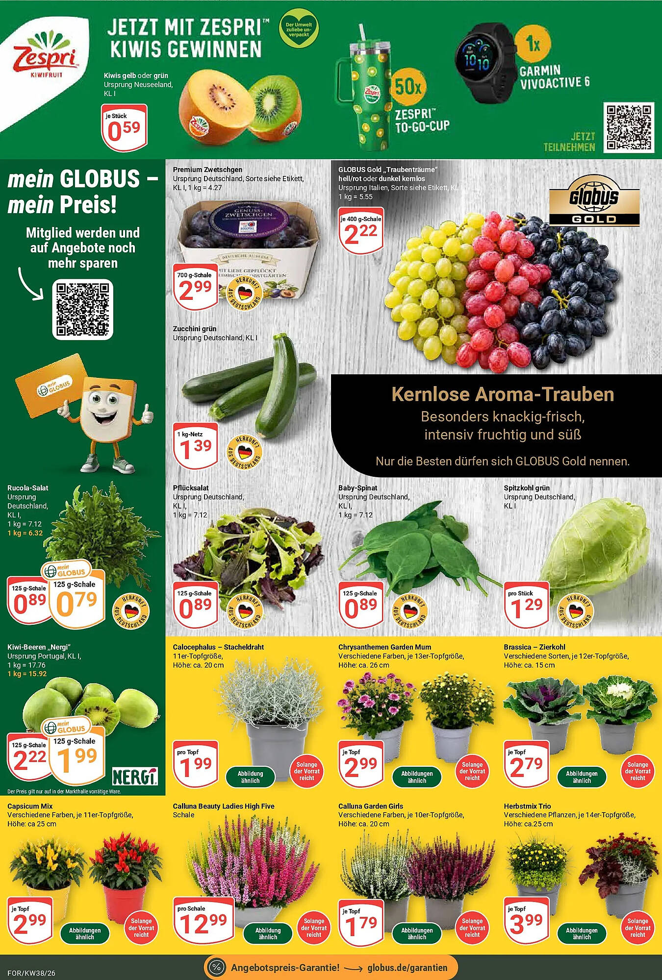 Globus folder - Pagina 6