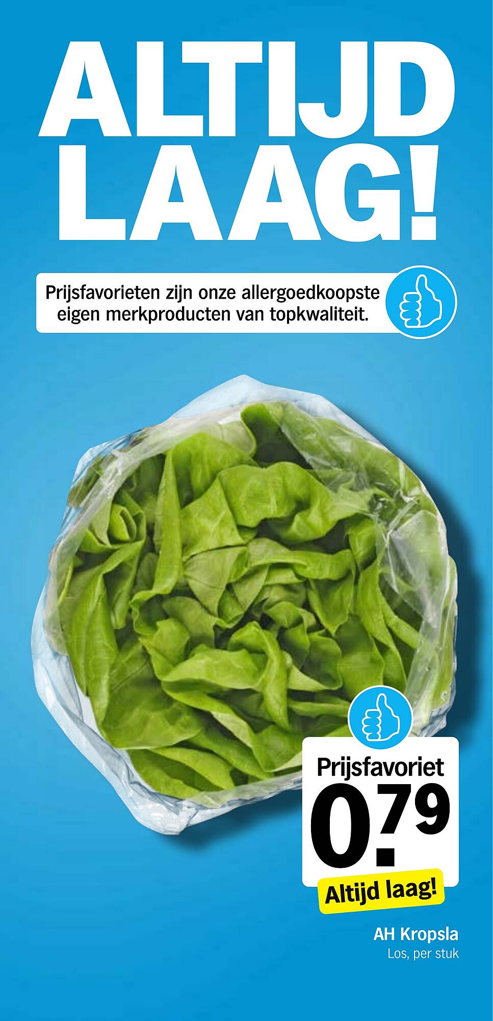 AH XL folder - Pagina 19