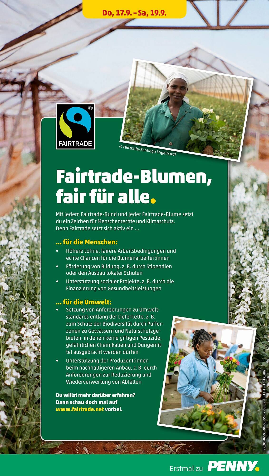 Penny folder - Pagina 31
