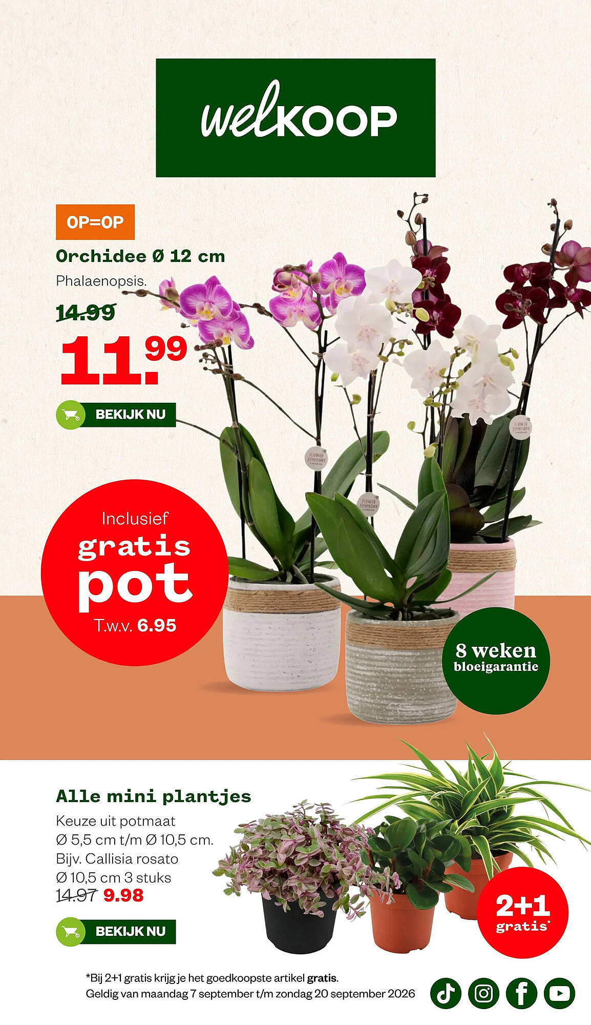Welkoop folder - Pagina 1
