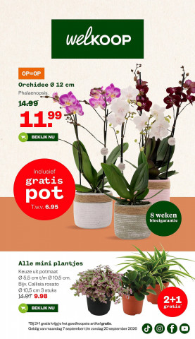 Welkoop folder