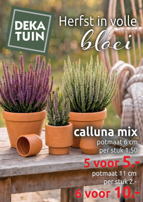 Deka Tuin folder