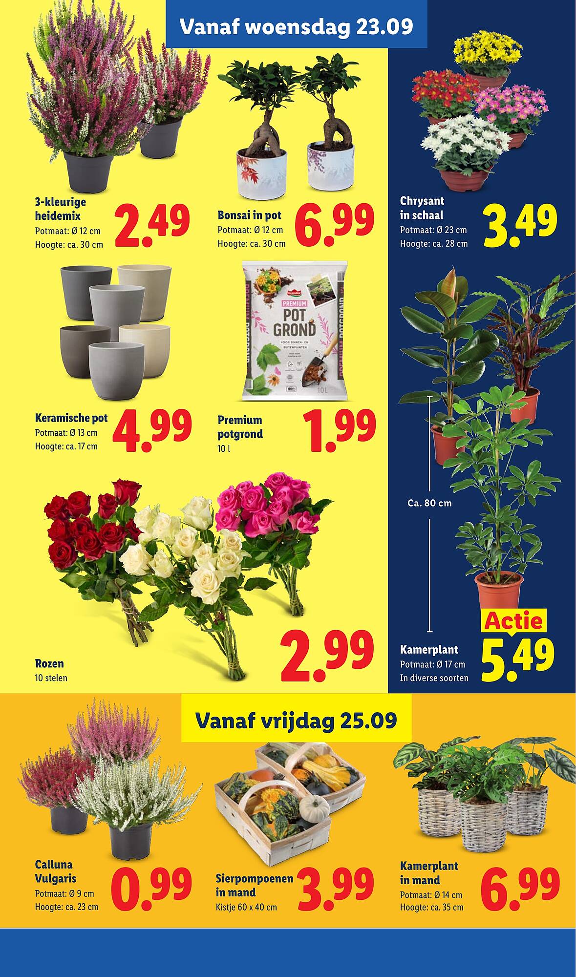Lidl folder - Pagina 16