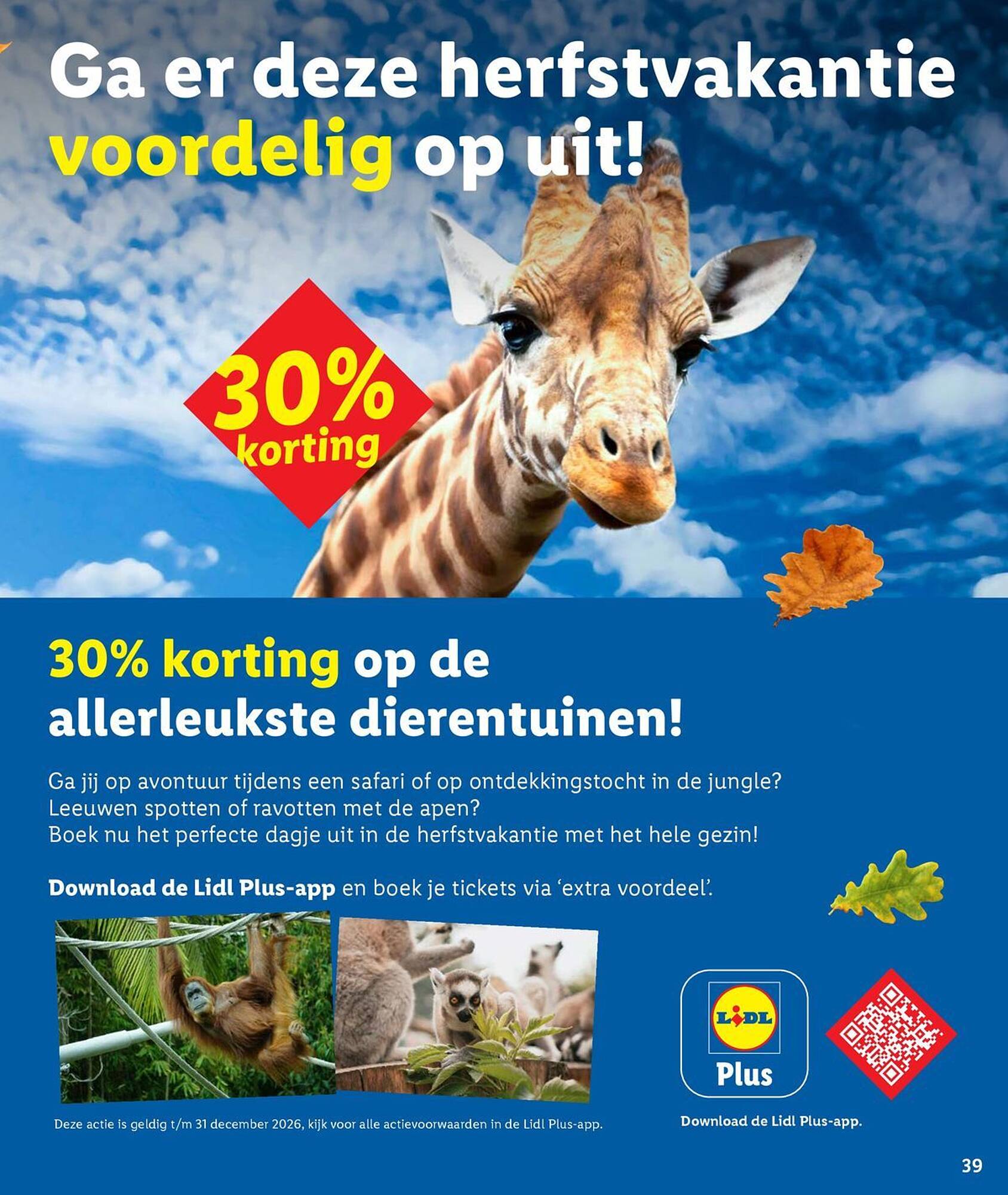Lidl folder - Pagina 39