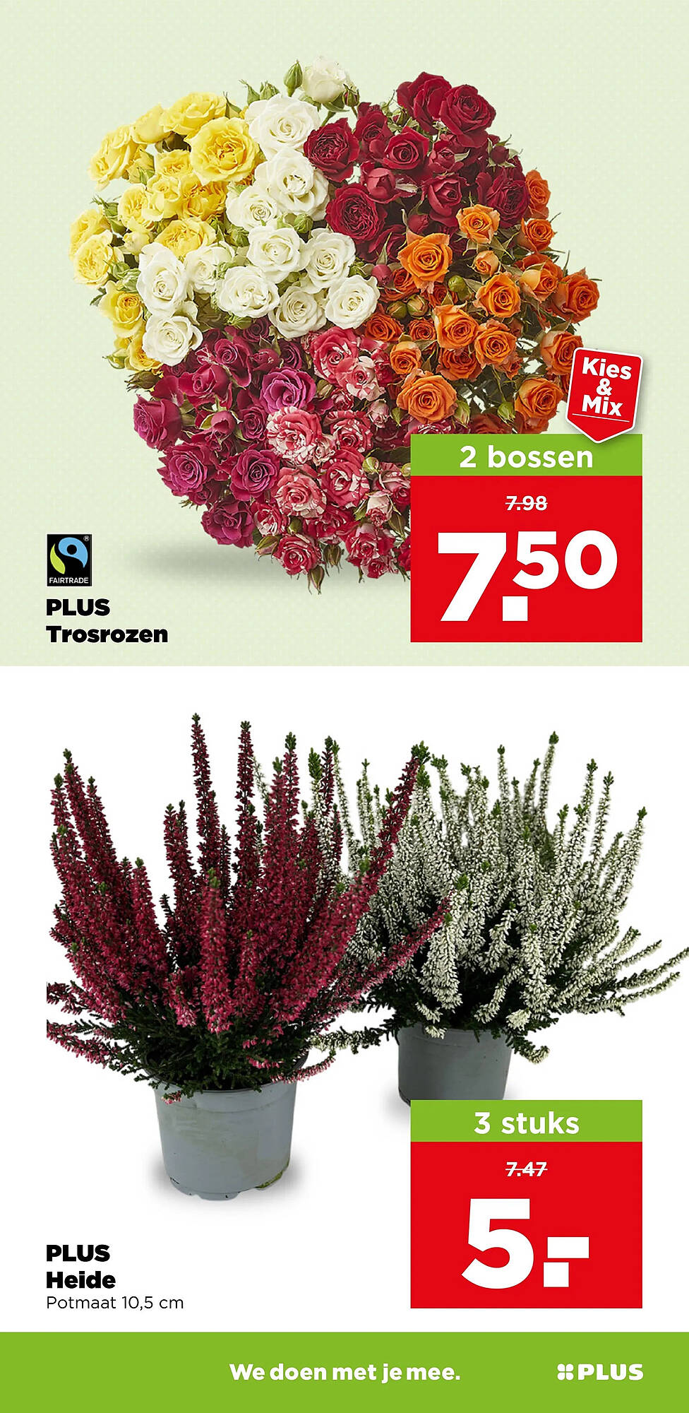 PLUS folder - Pagina 37