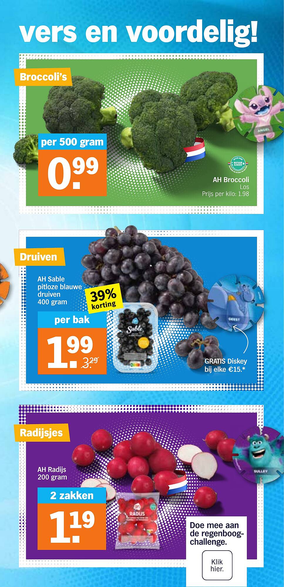 AH XL folder - Pagina 13
