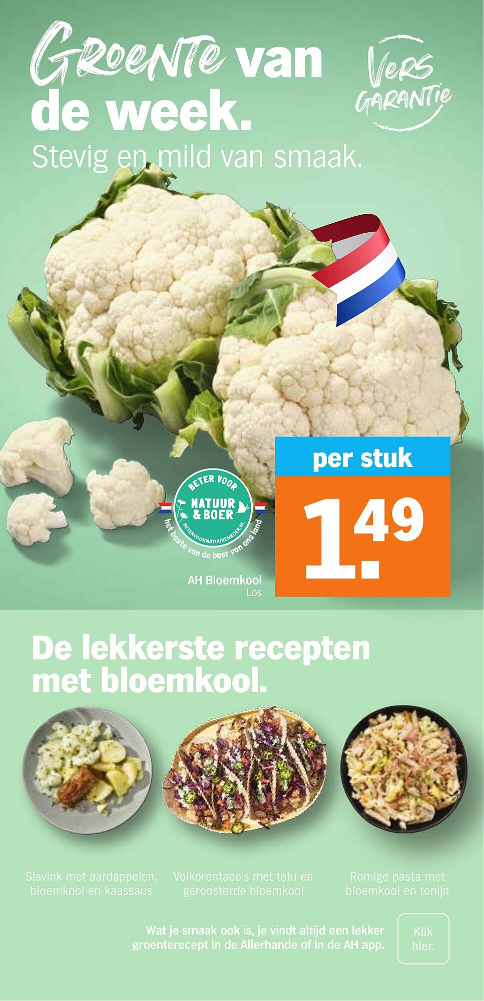 AH XL folder - Pagina 16