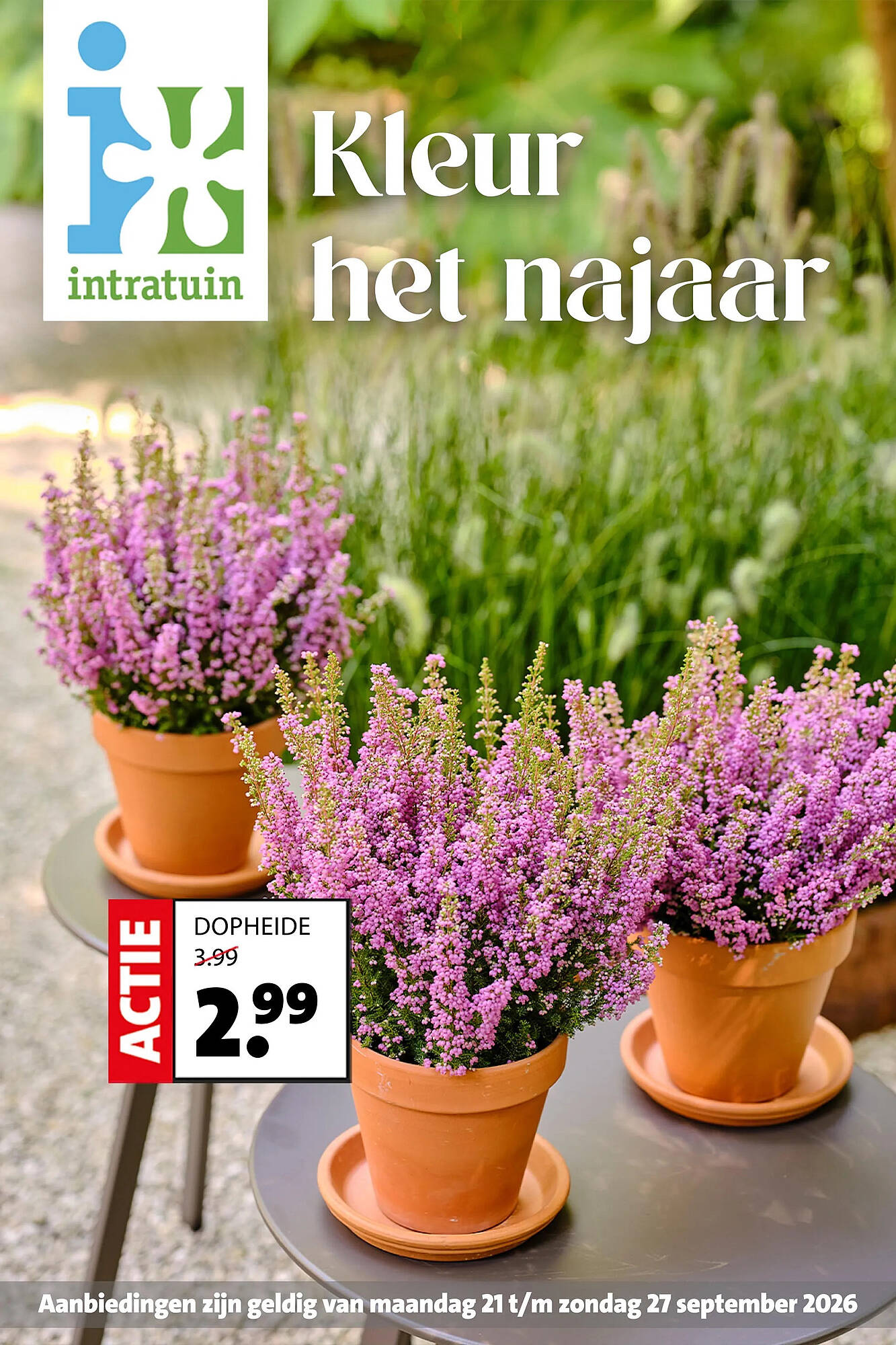 Intratuin folder - Pagina 1