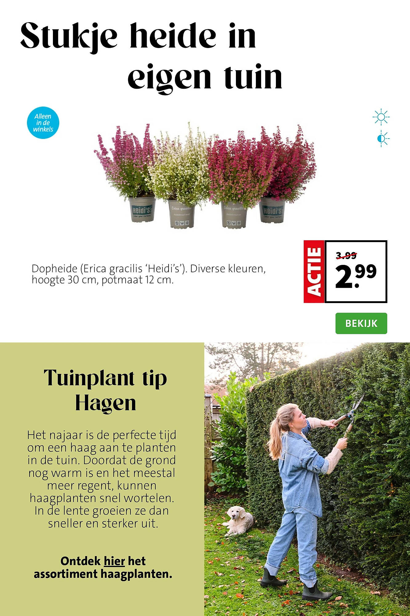 Intratuin folder - Pagina 3