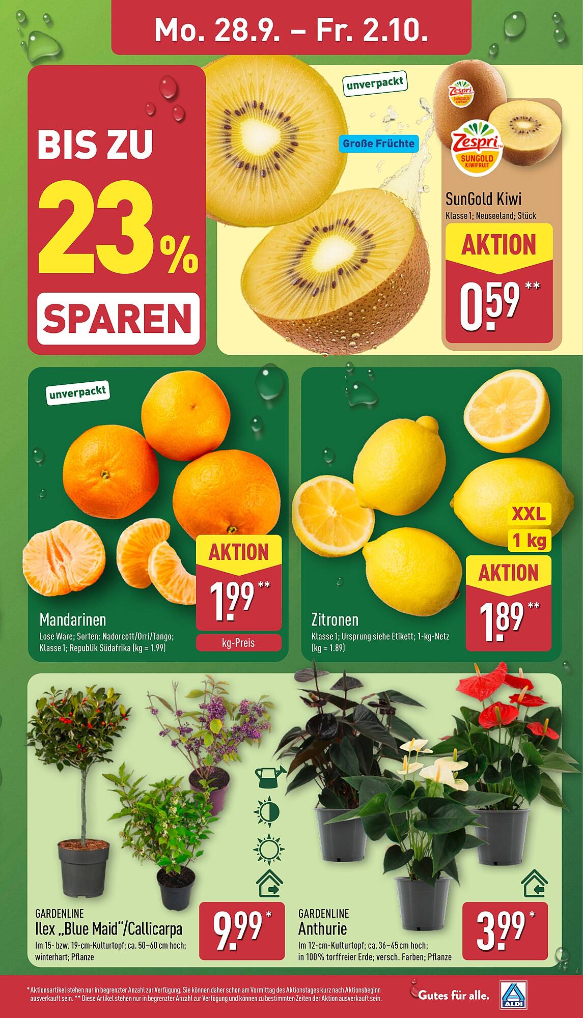 Aldi Nord folder - Pagina 3