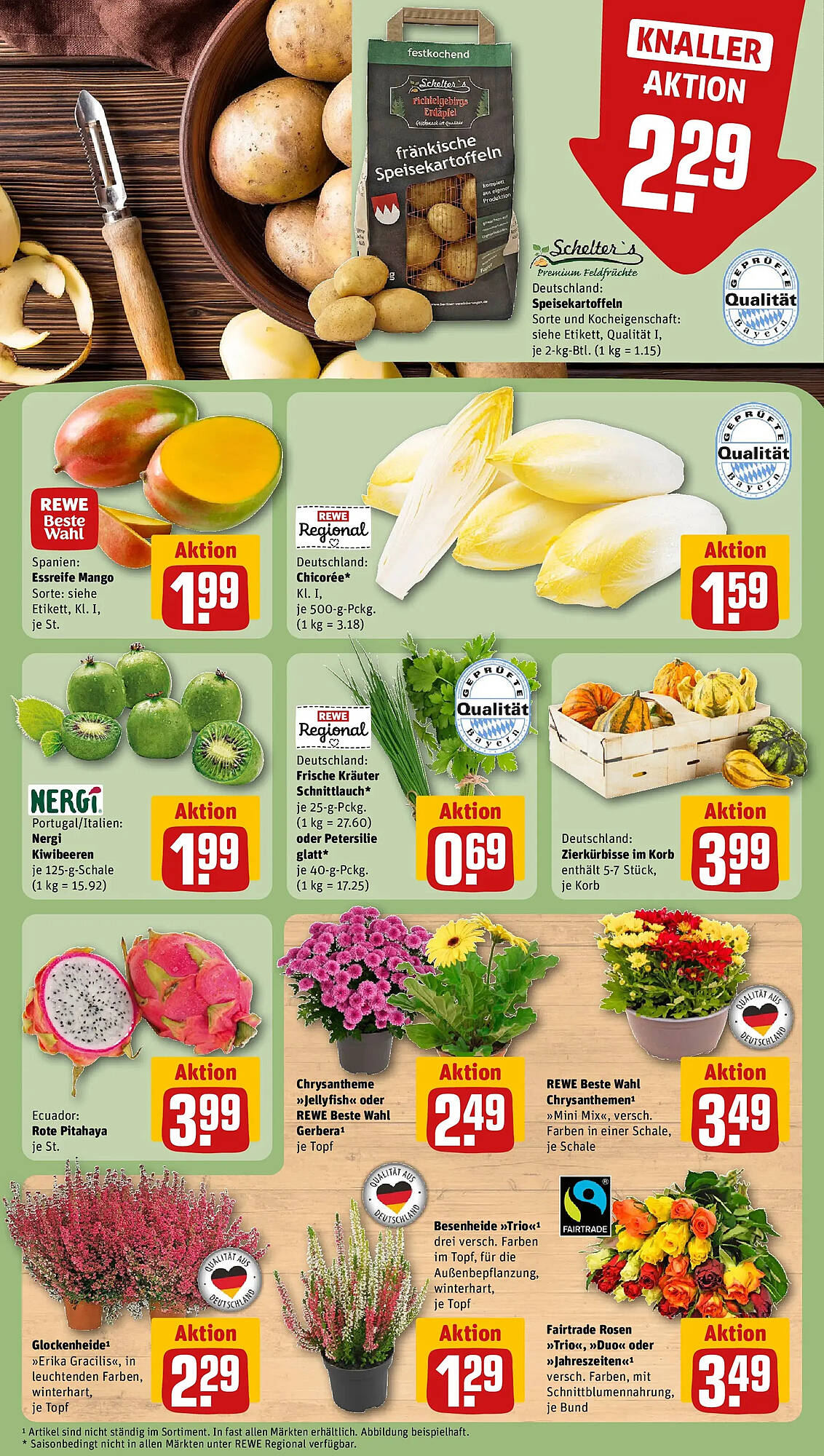 REWE folder - Pagina 13