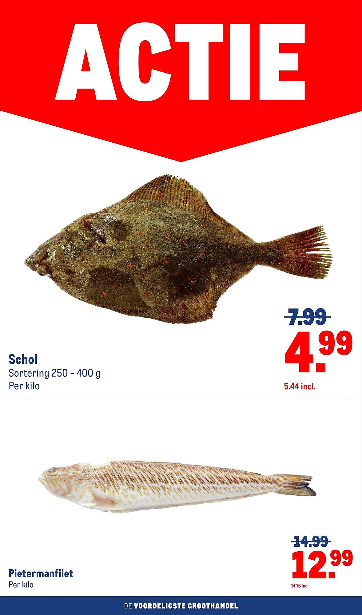 Makro folder - Pagina 4