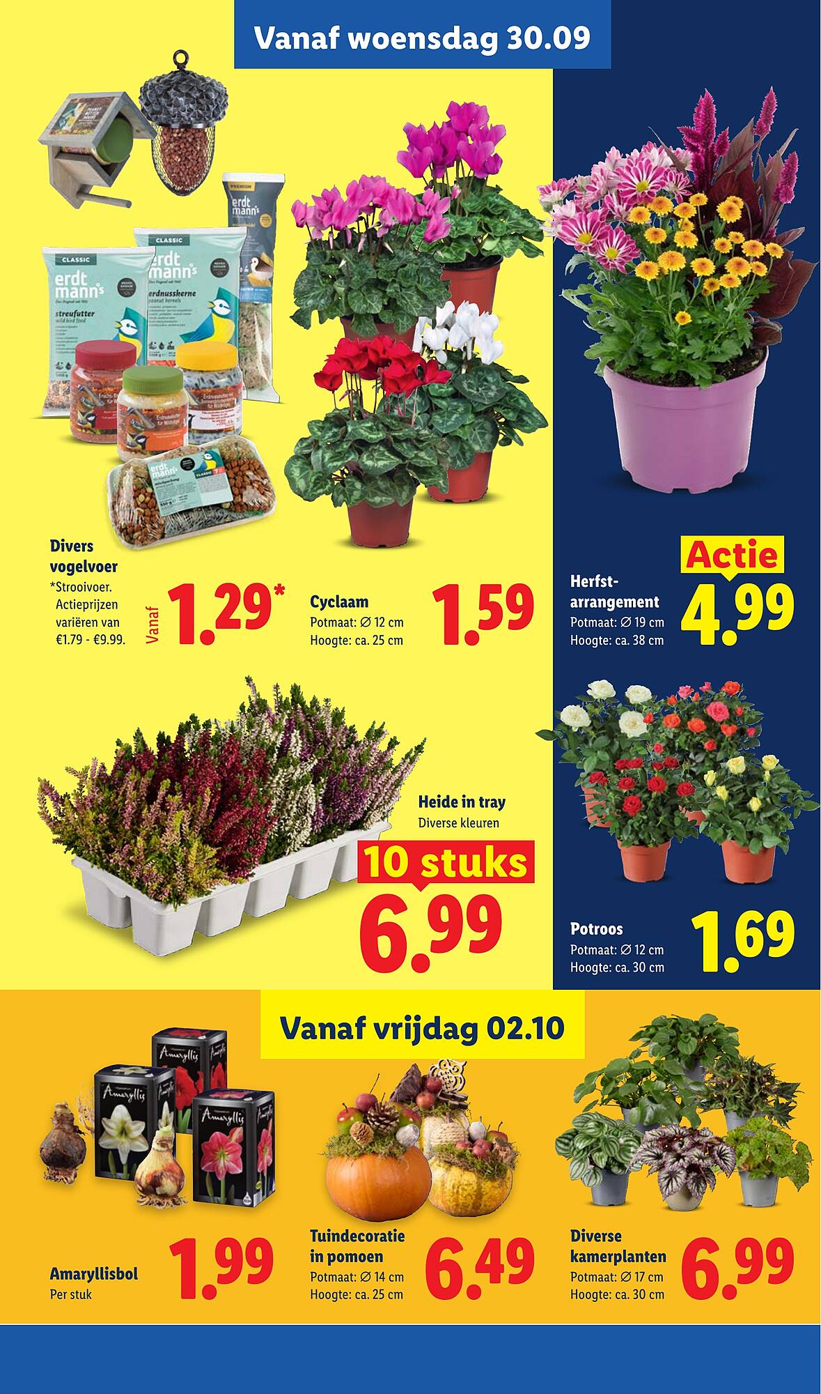 Lidl folder - Pagina 22