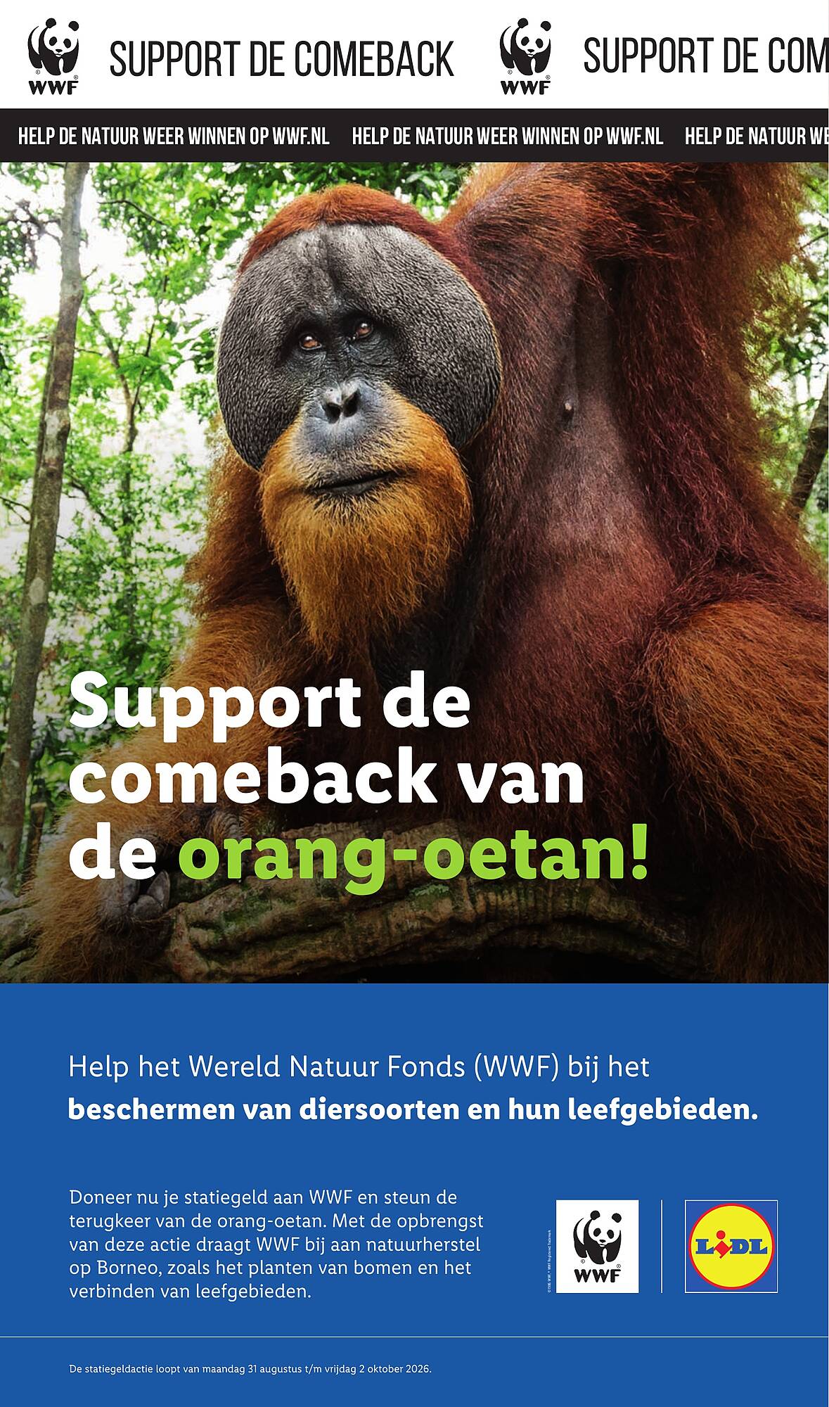 Lidl folder - Pagina 45