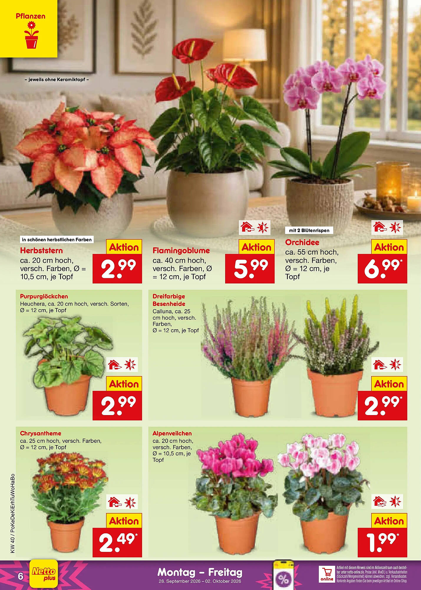 Netto Marken-Discount folder - Pagina 6