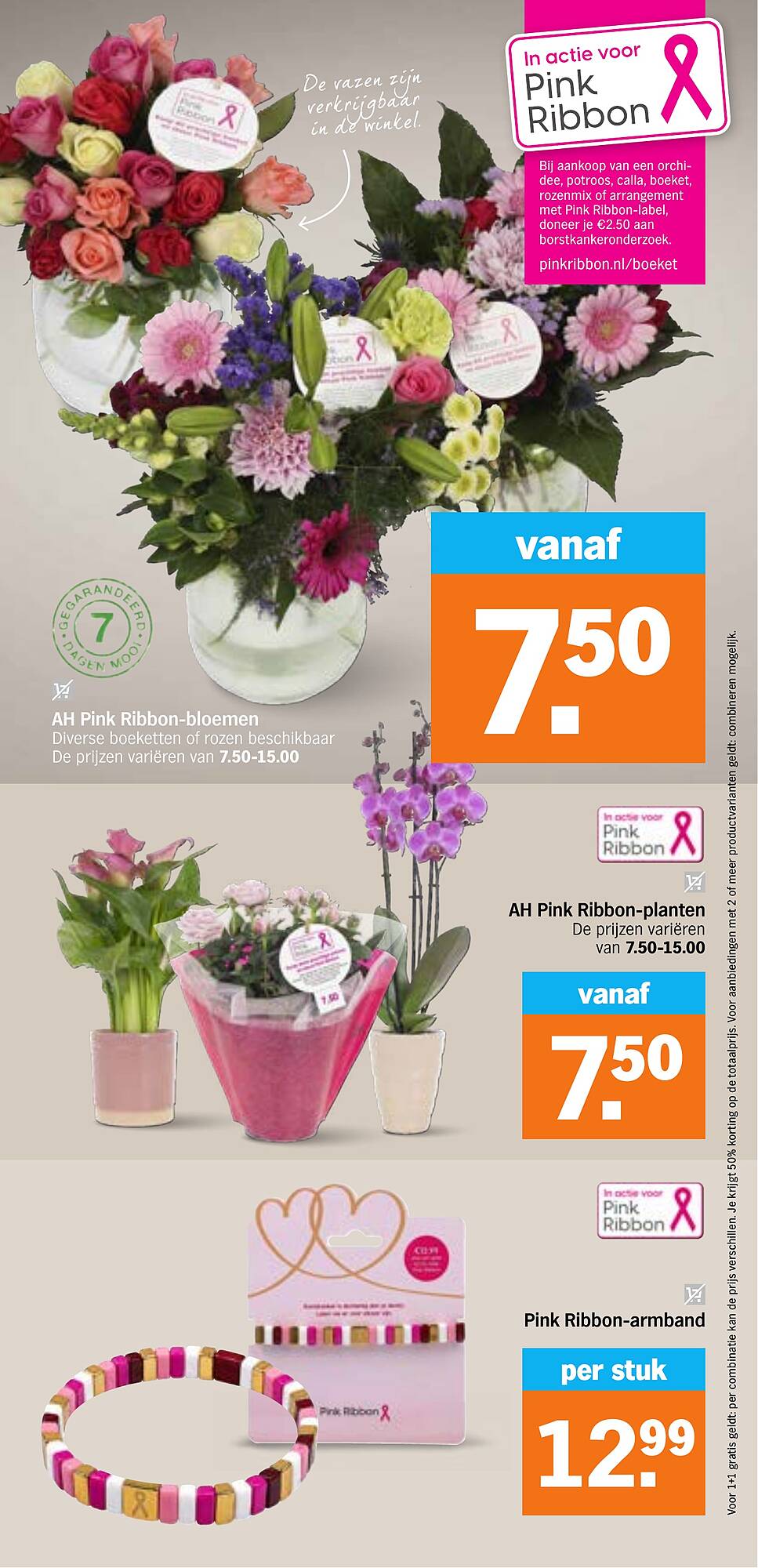 AH XL folder - Pagina 32