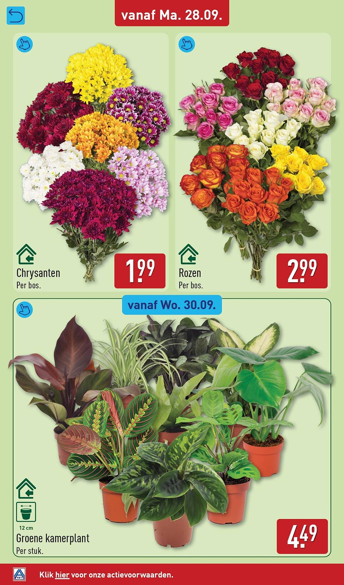 ALDI folder - Pagina 36