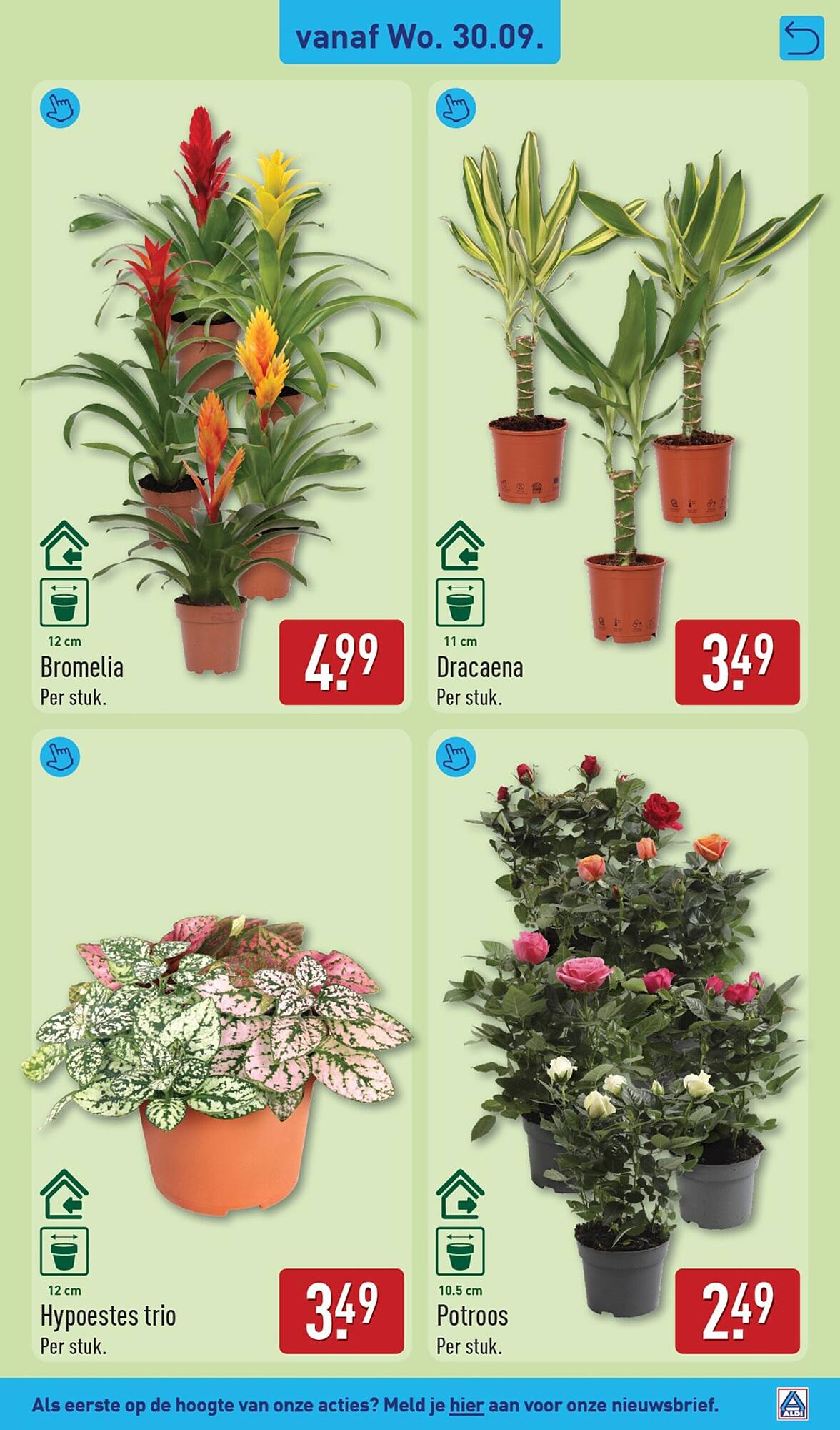 ALDI folder - Pagina 37