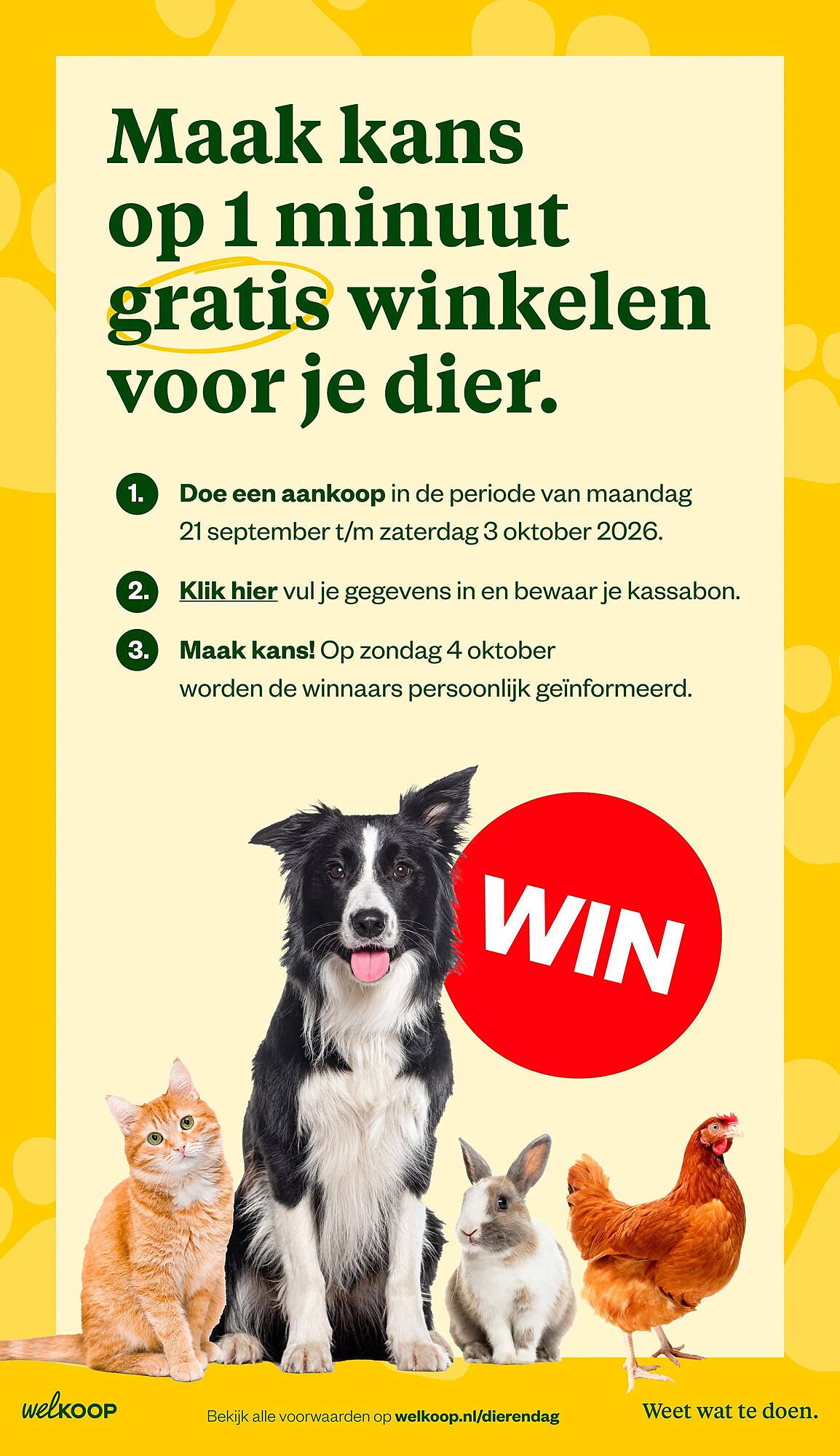Welkoop folder - Pagina 2