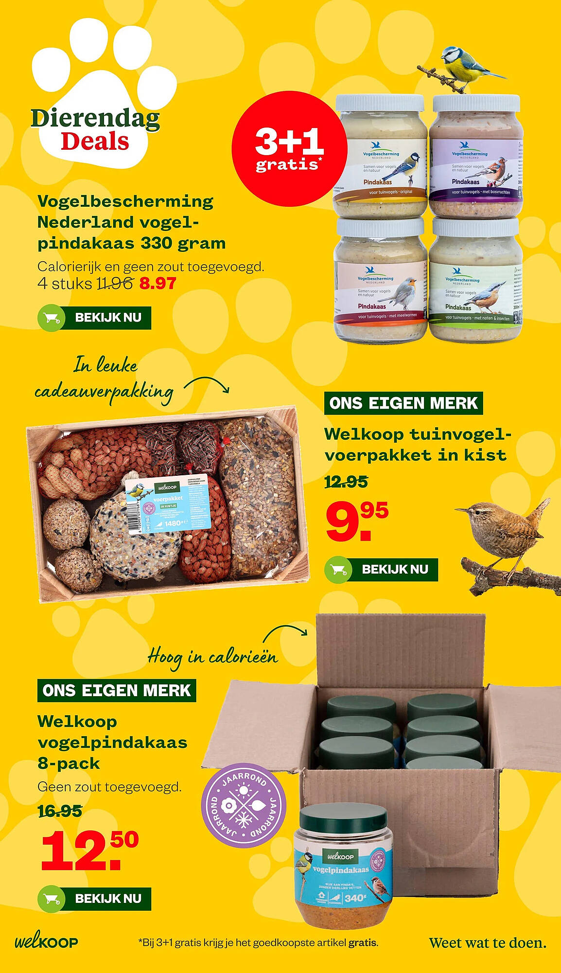 Welkoop folder - Pagina 3