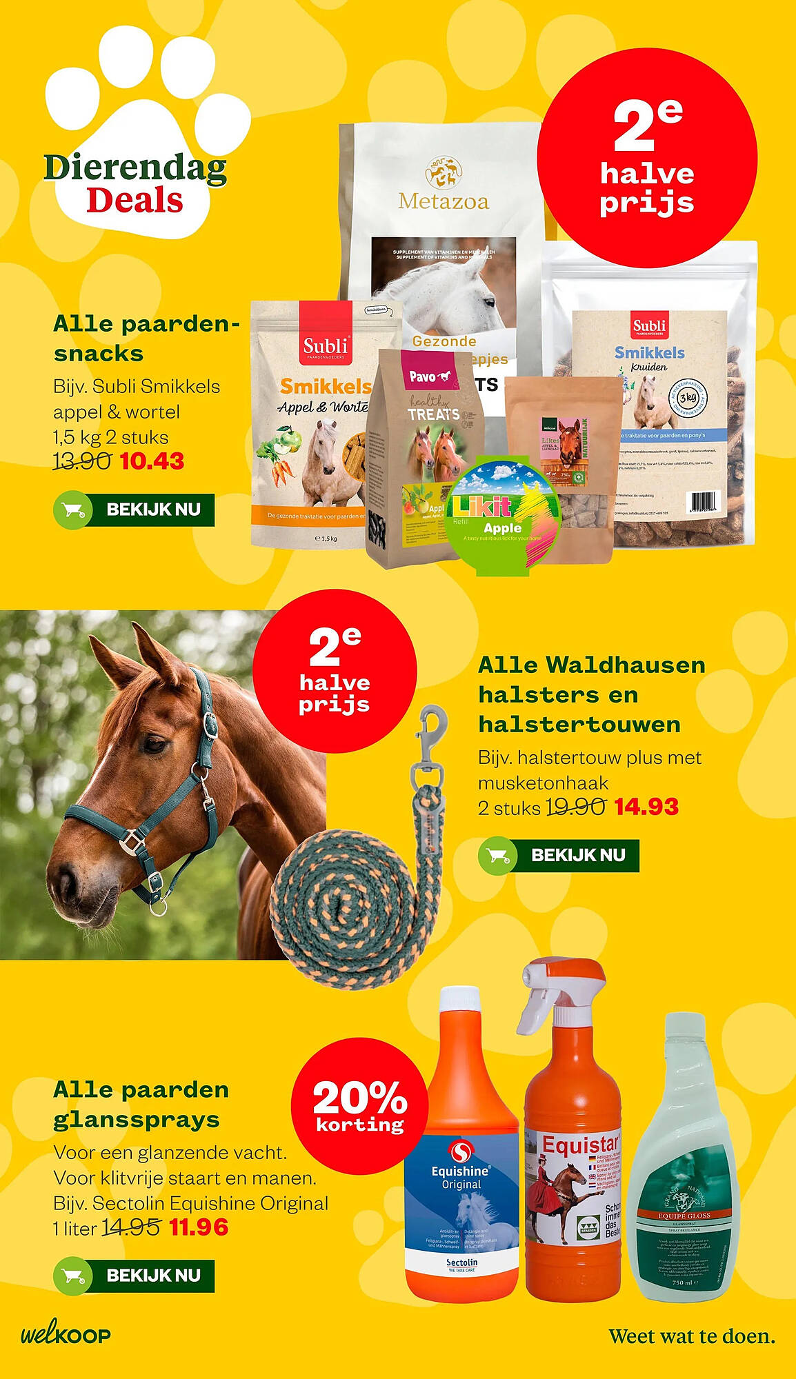 Welkoop folder - Pagina 7
