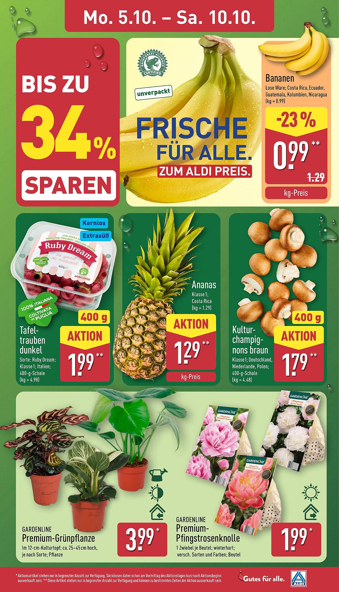 Aldi Nord folder - Pagina 3