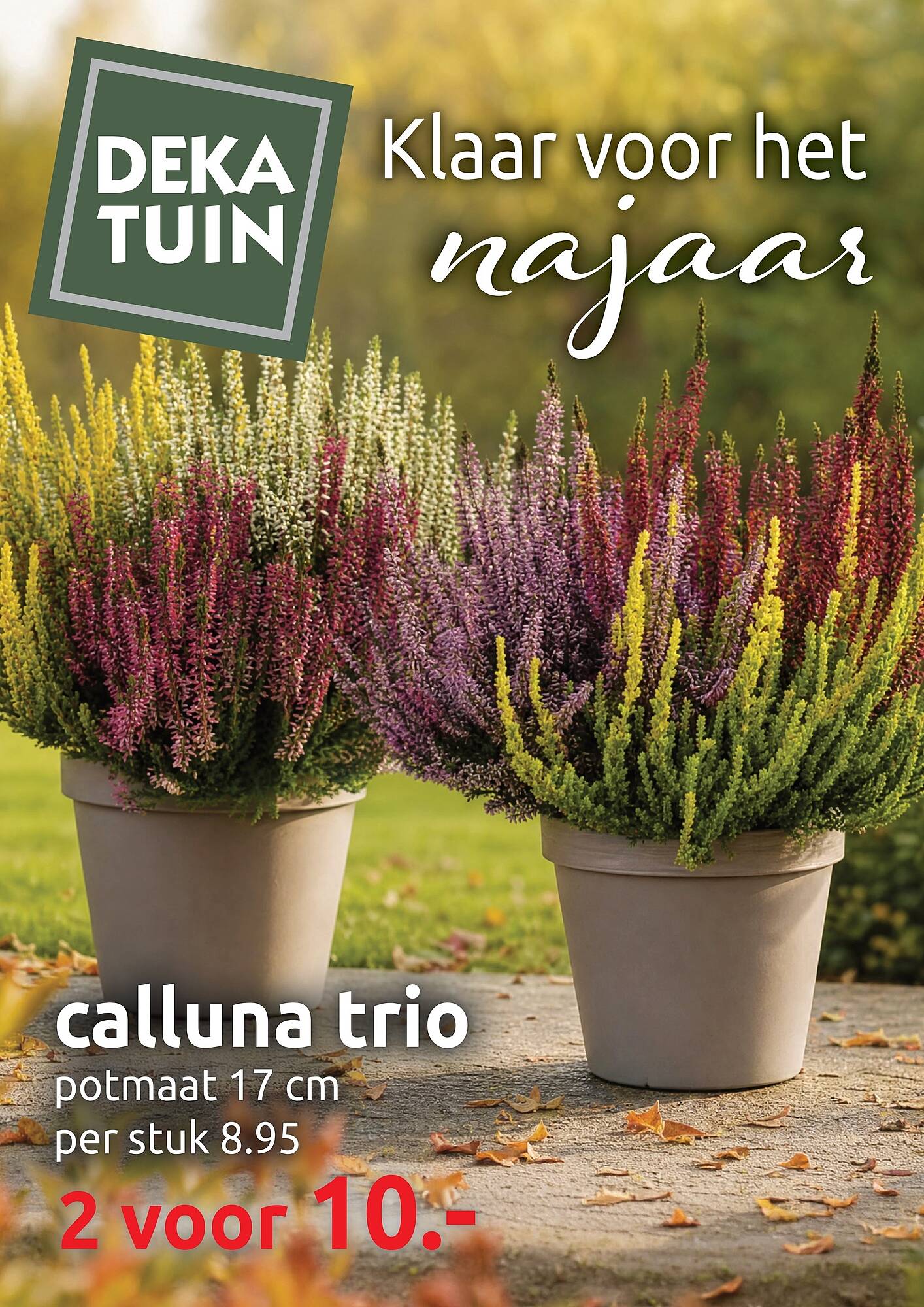 Deka Tuin folder - Pagina 1