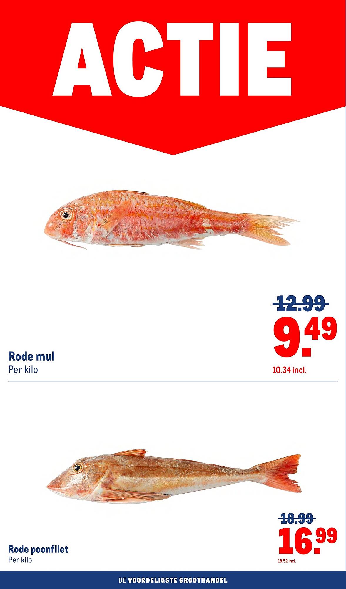 Makro folder - Pagina 4