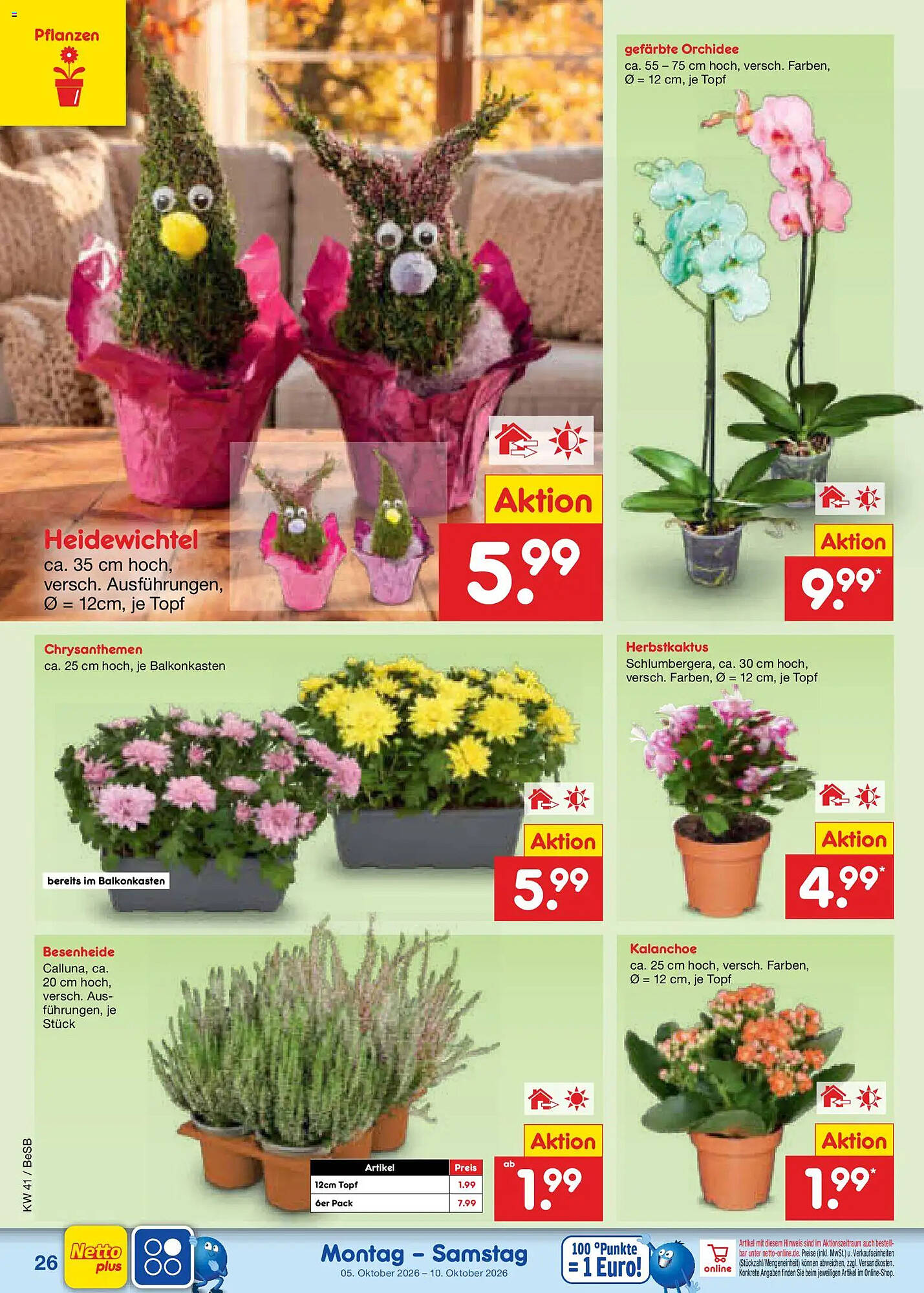 Netto Marken-Discount folder - Pagina 30