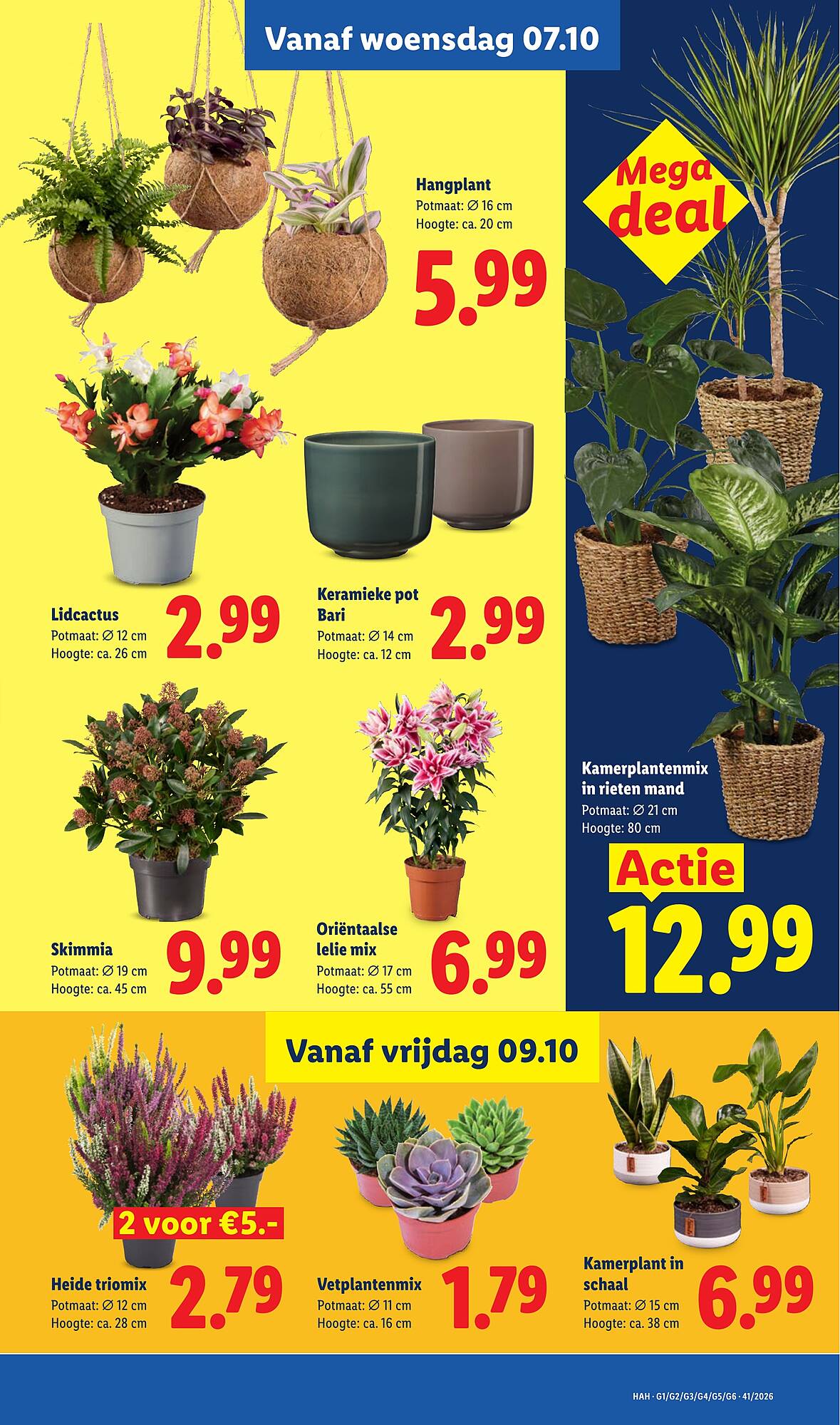 Lidl folder - Pagina 13