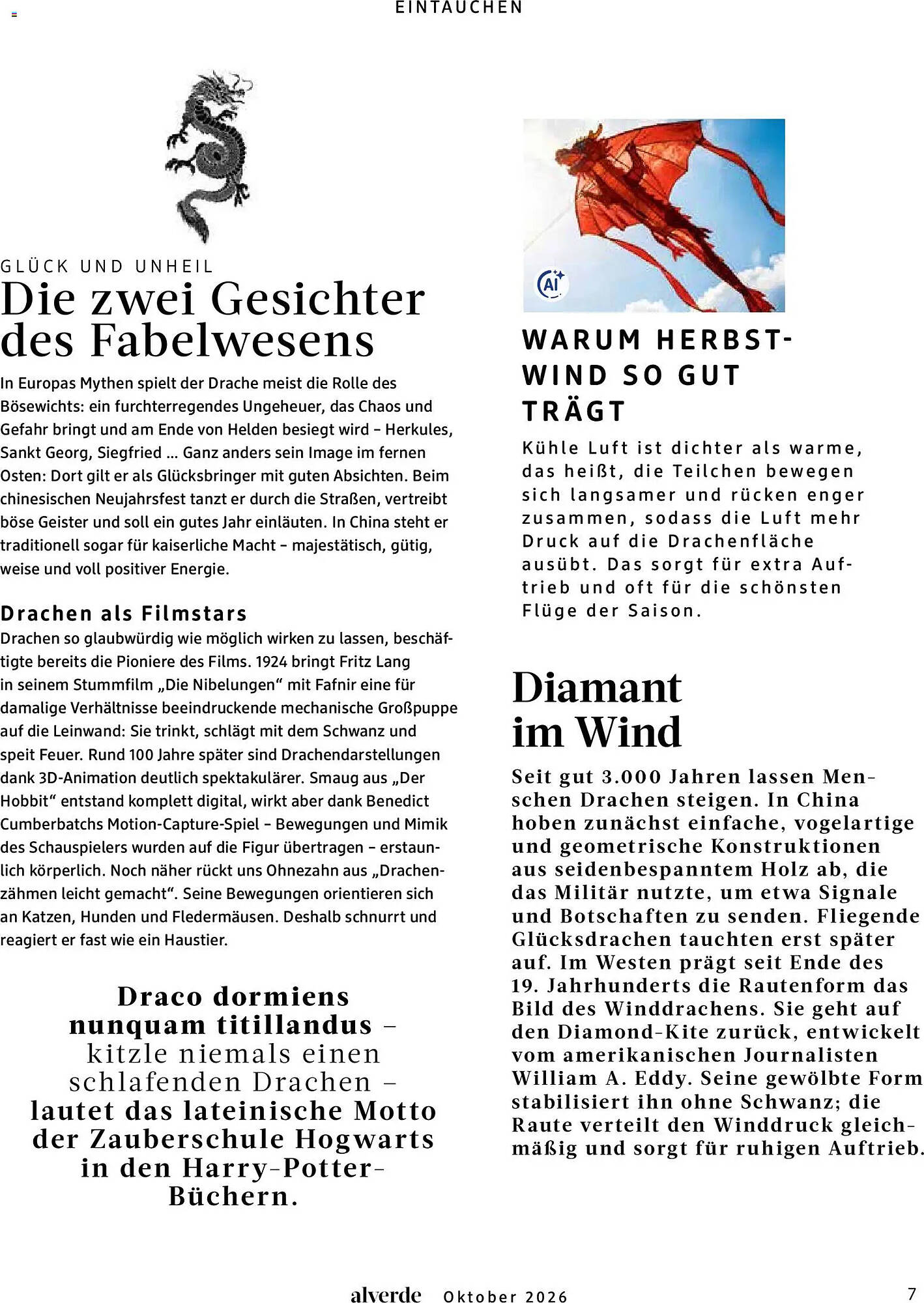 dm folder - Pagina 7