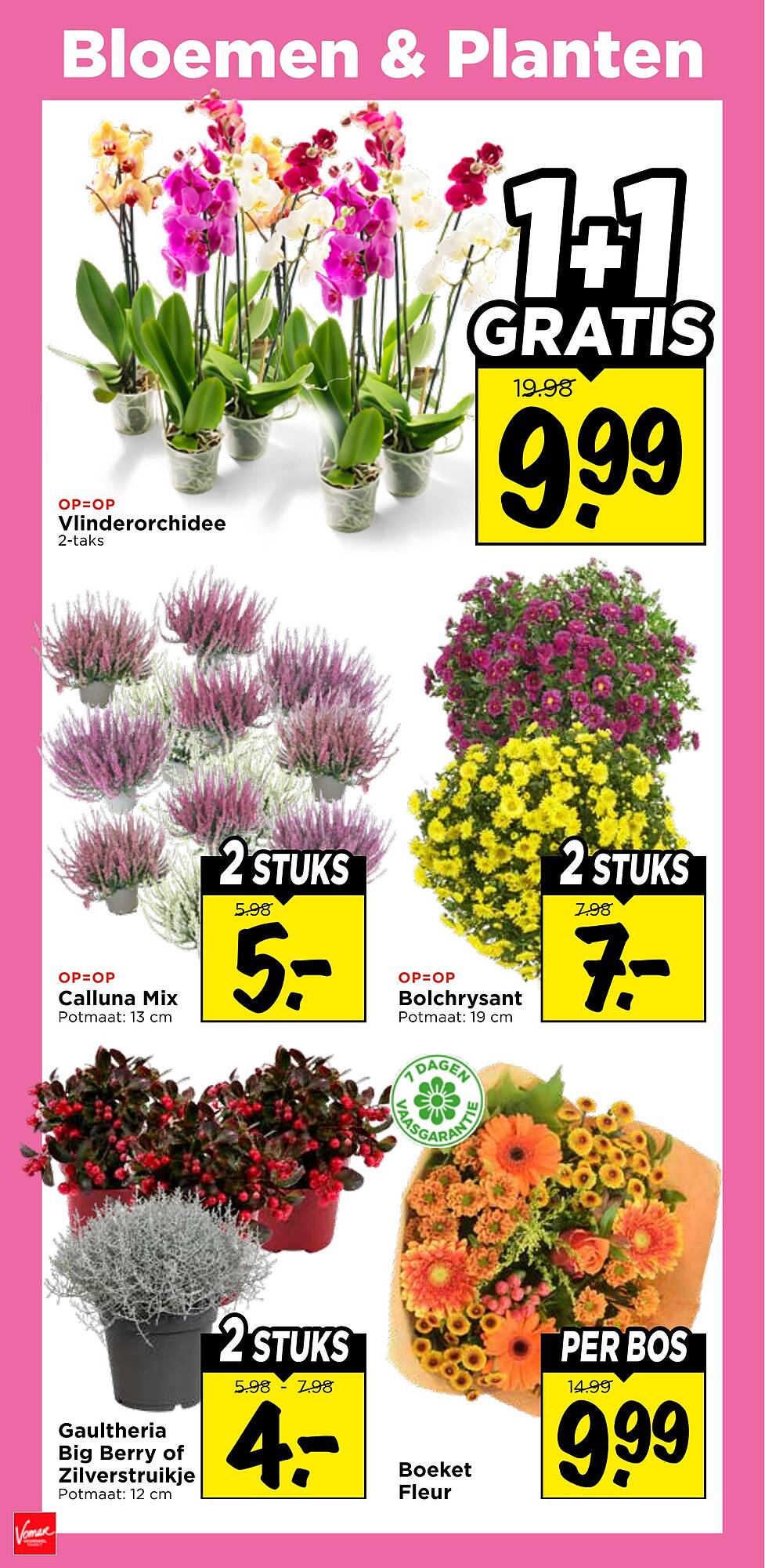 Vomar folder - Pagina 31