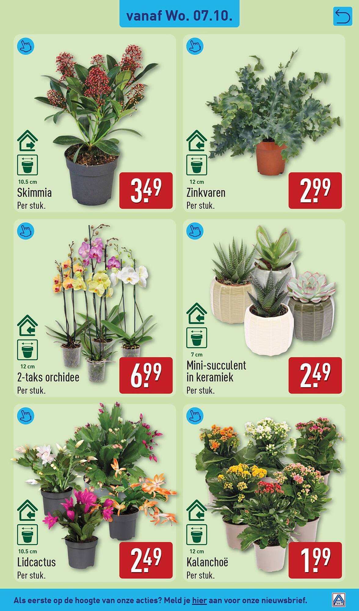 ALDI folder - Pagina 39