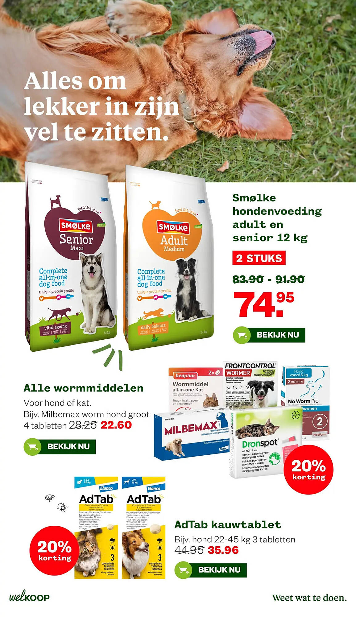 Welkoop folder - Pagina 6