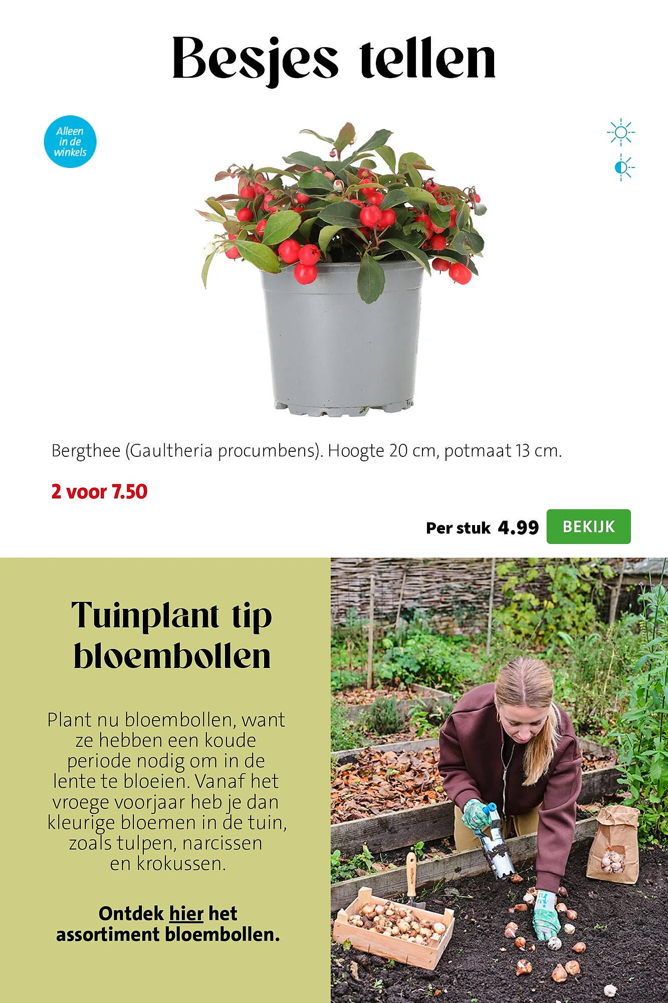 Intratuin folder - Pagina 3