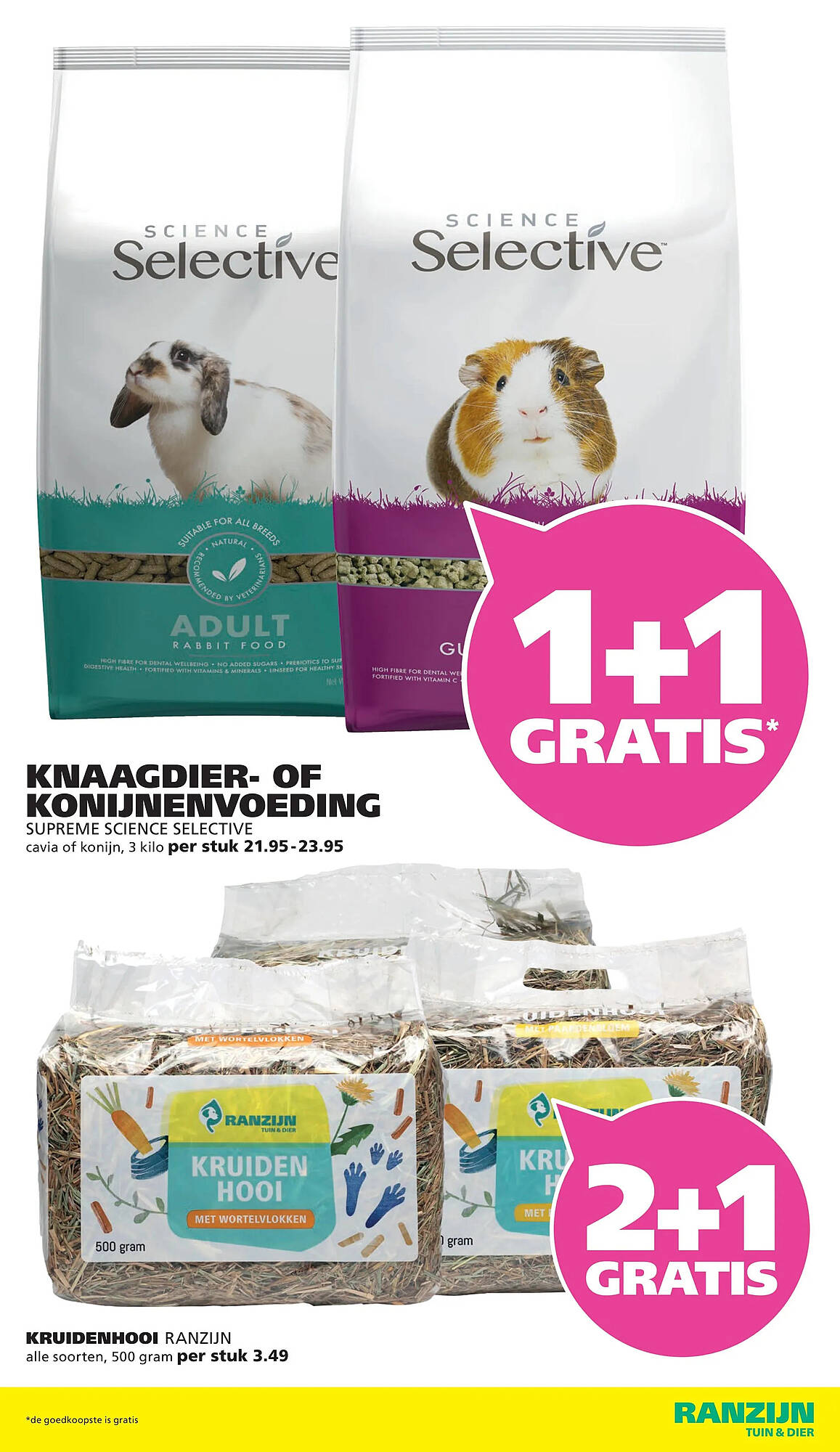 Ranzijn folder - Pagina 13