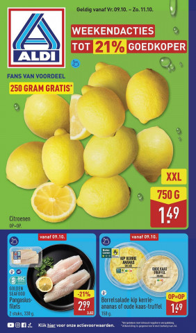 ALDI folder