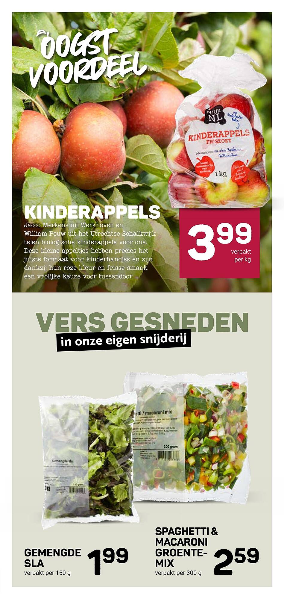 Ekoplaza folder - Pagina 11