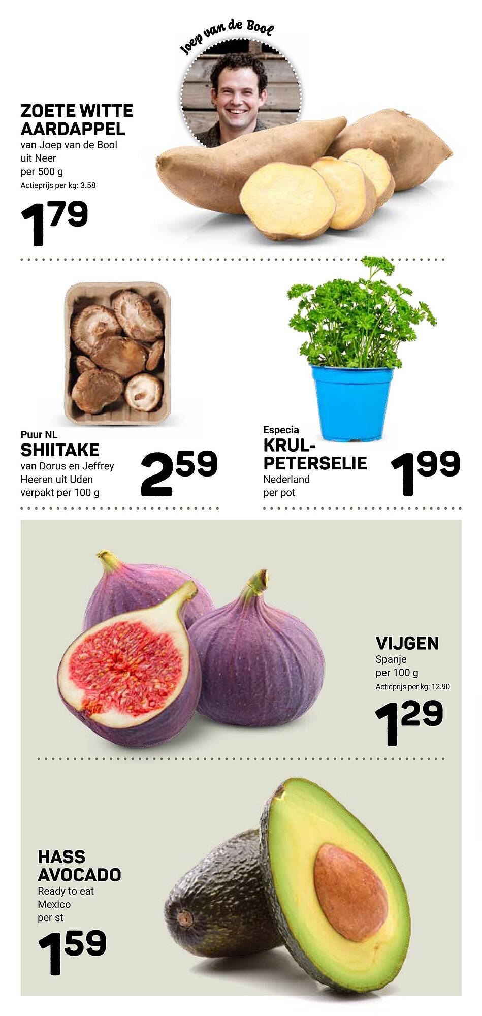 Ekoplaza folder - Pagina 13