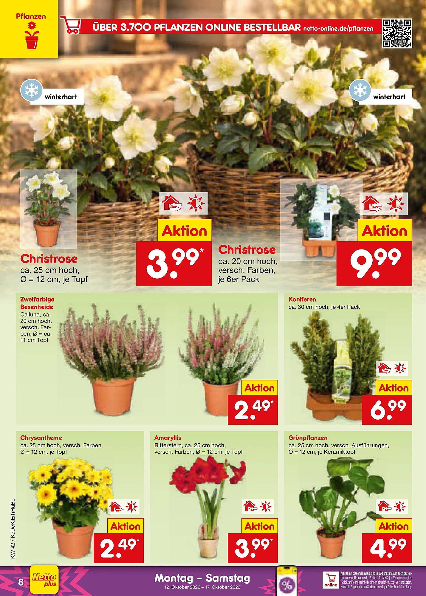 Netto Marken-Discount folder - Pagina 10