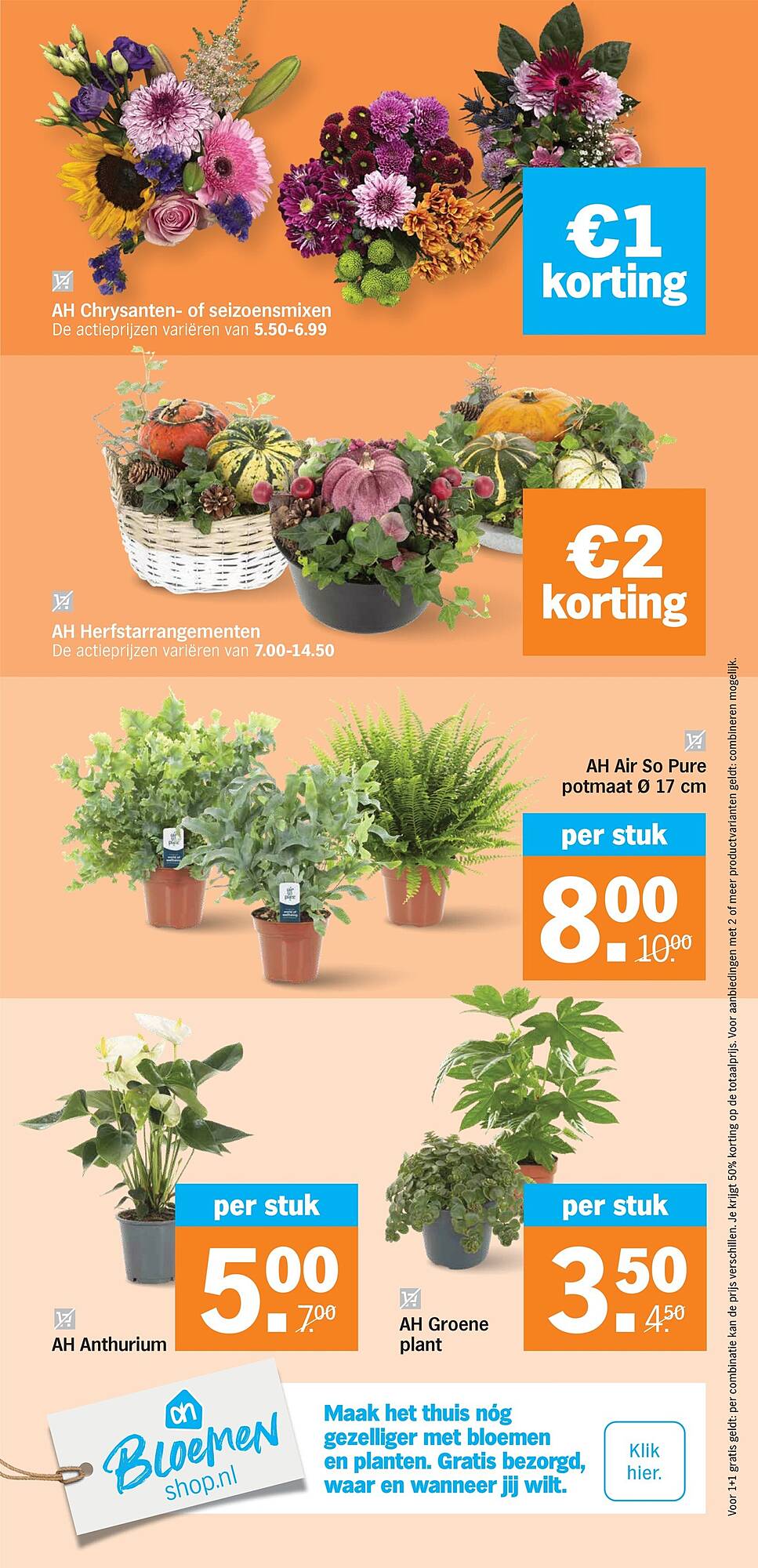 Albert Heijn folder - Pagina 31
