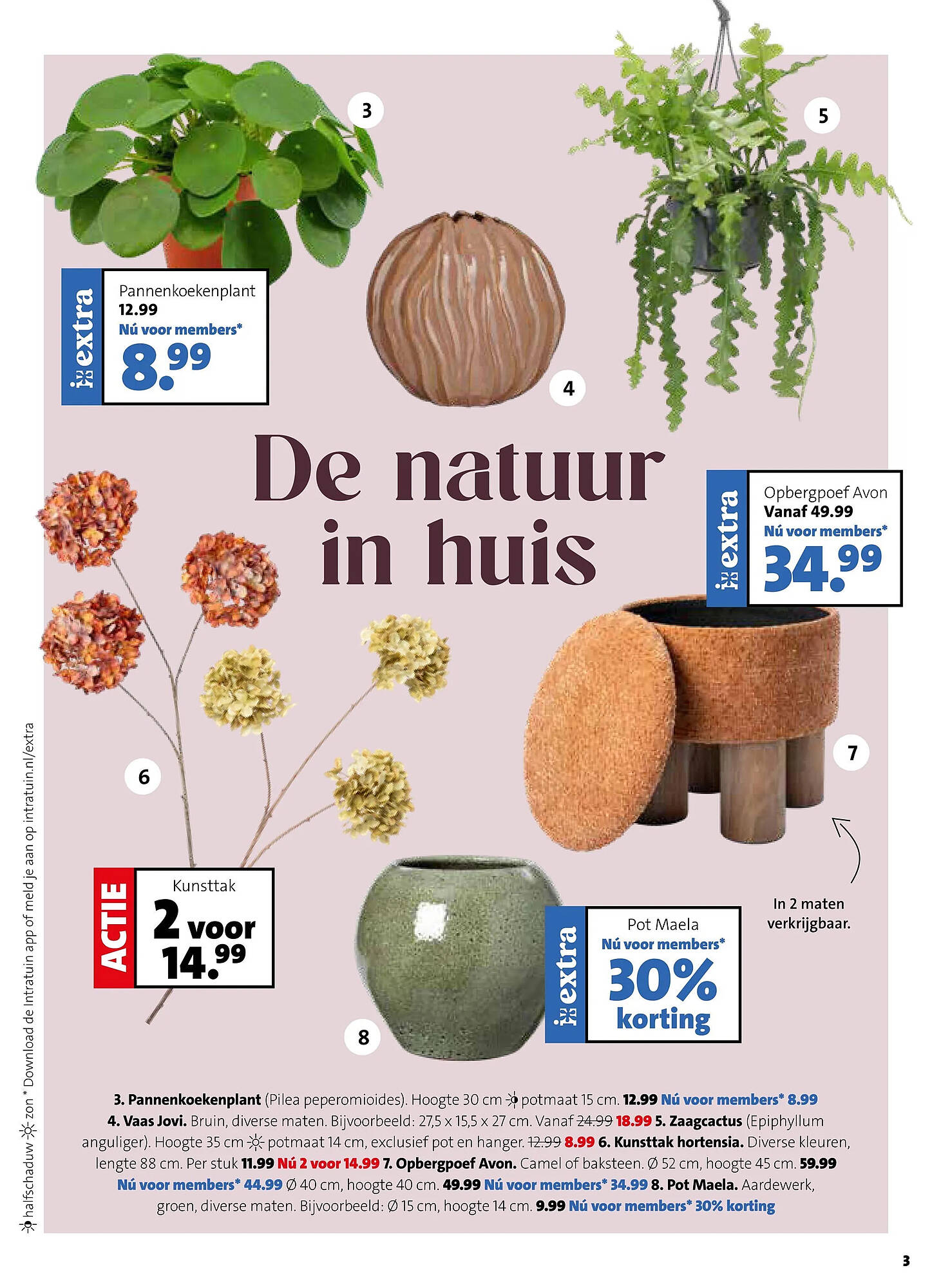Intratuin folder - Pagina 3