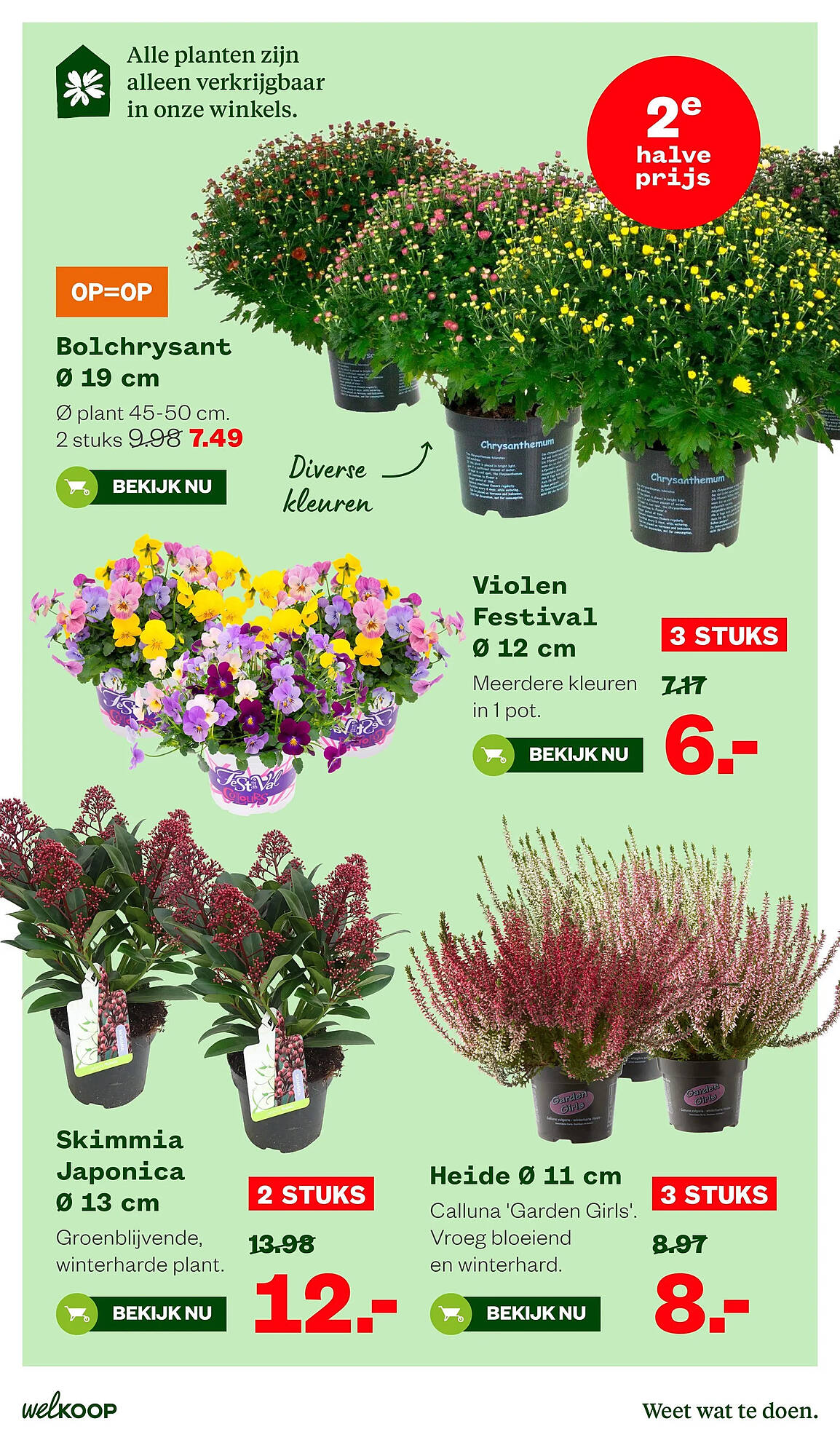 Welkoop folder - Pagina 7