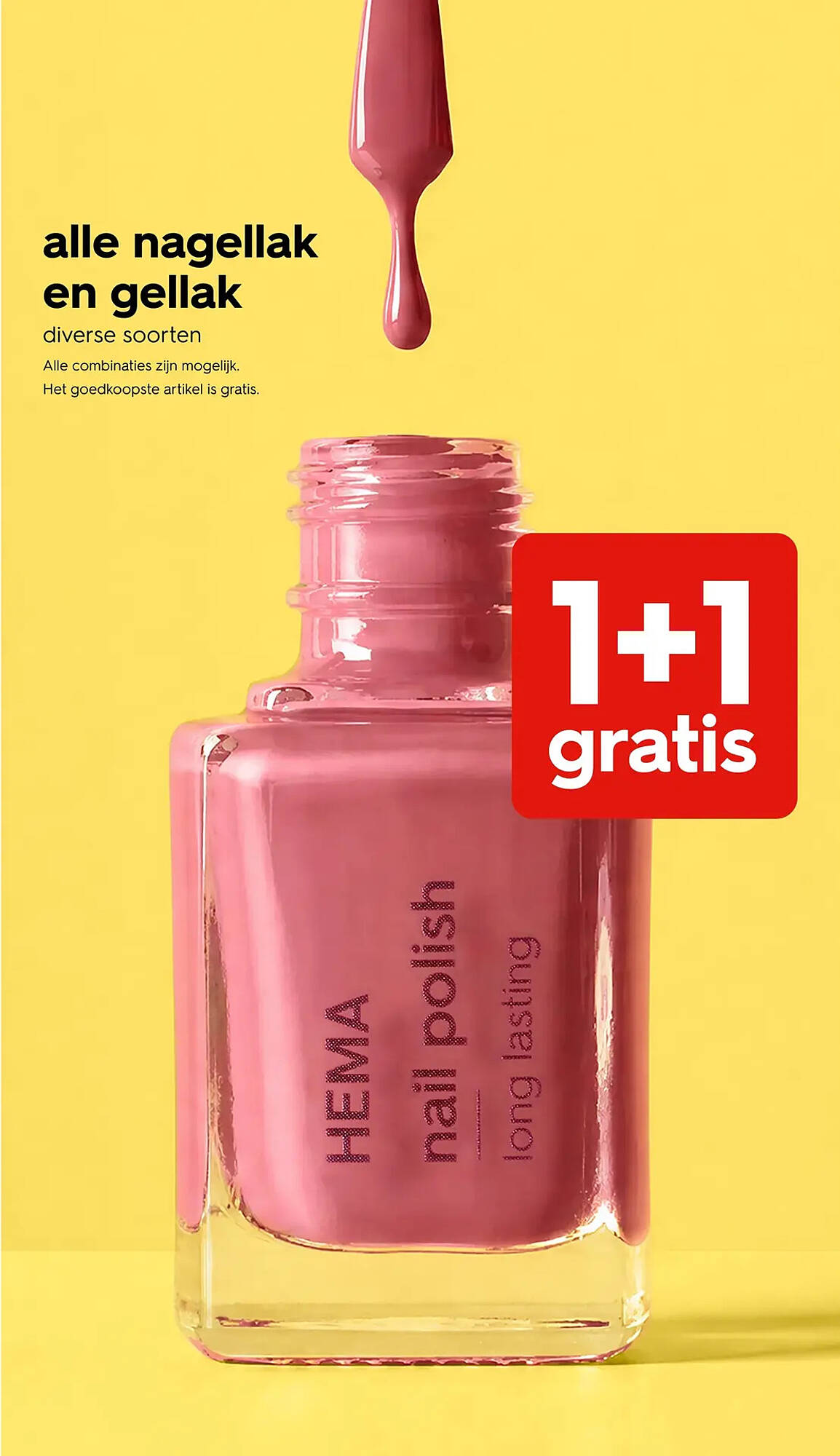 HEMA folder - Pagina 12