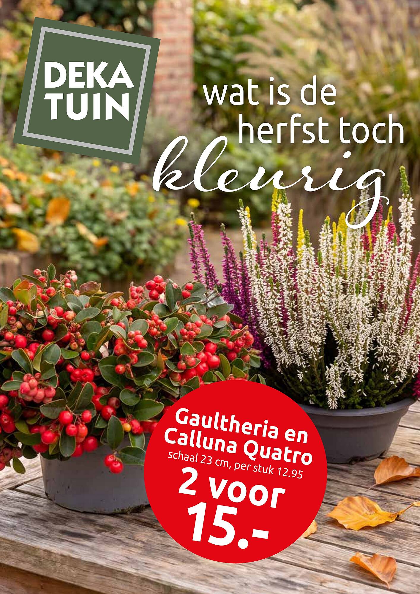 Deka Tuin folder - Pagina 1