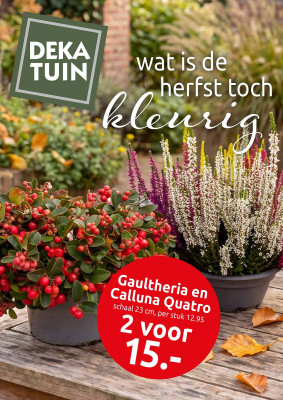 Deka Tuin folder