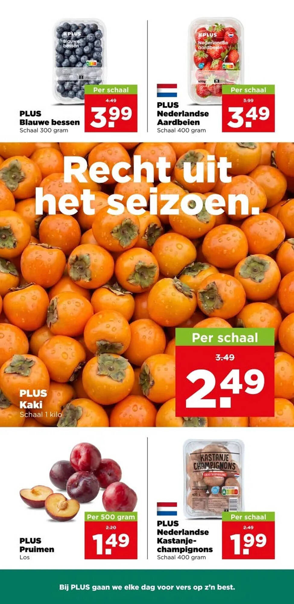 PLUS folder - Pagina 21