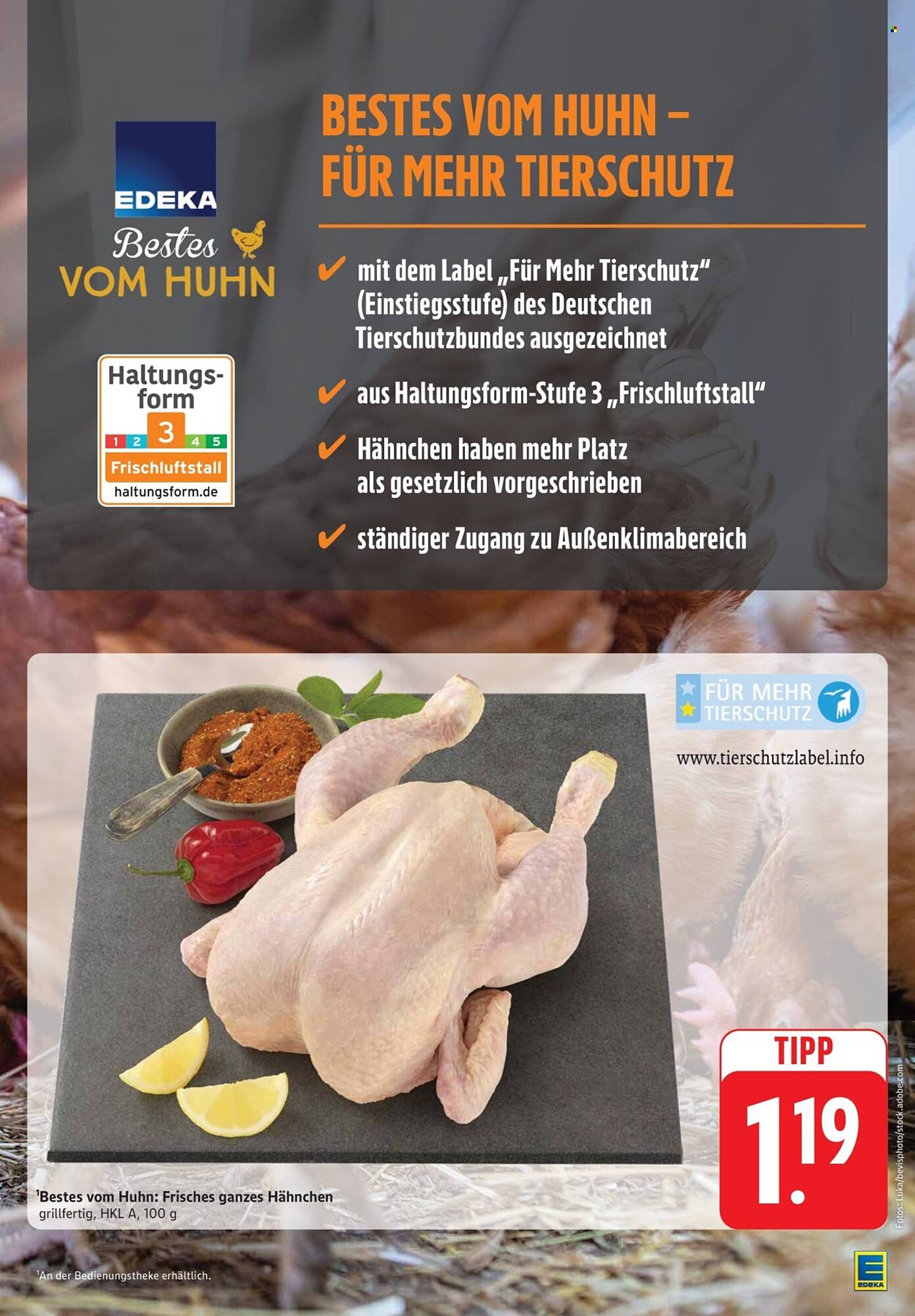 Edeka folder