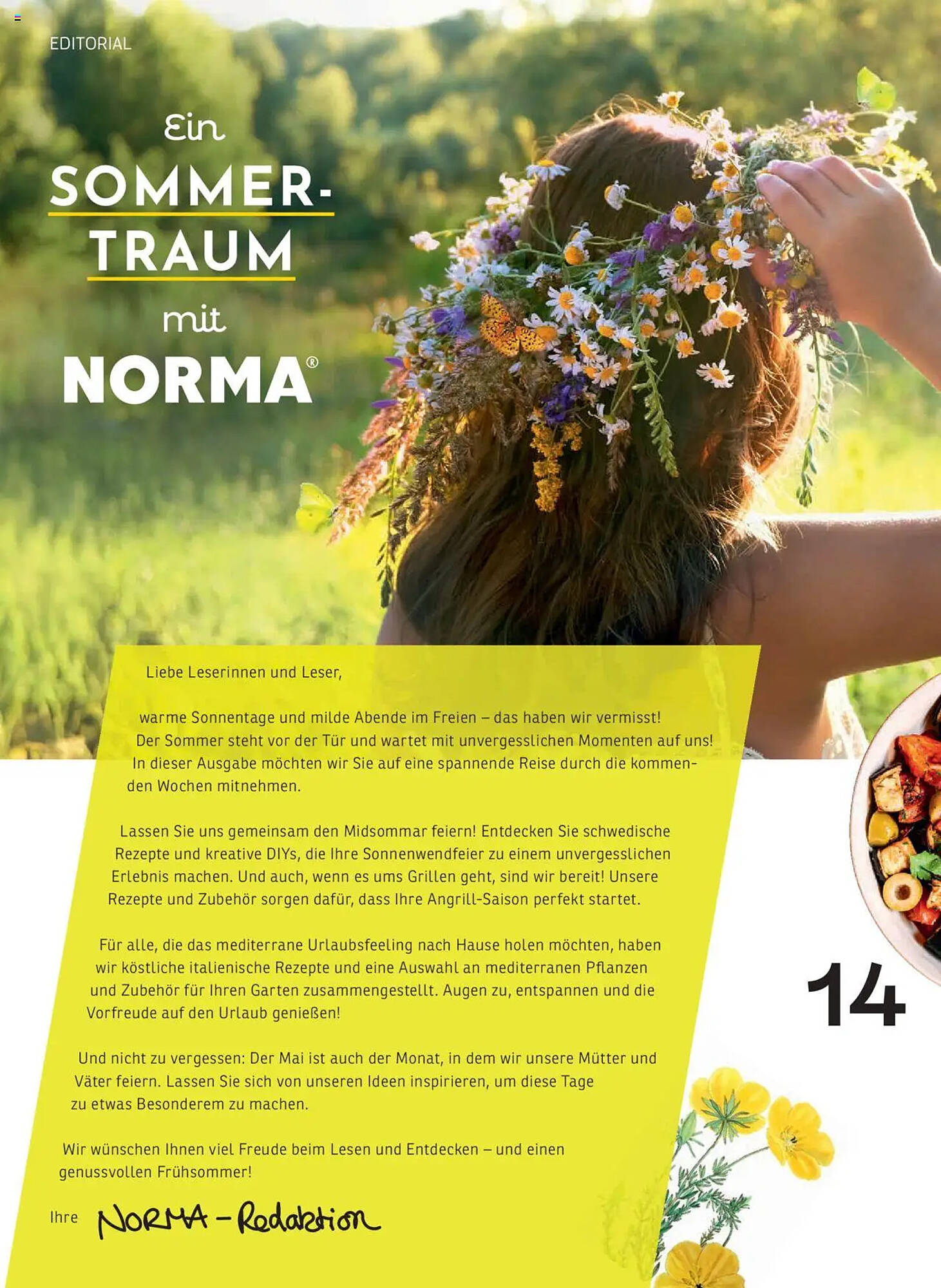 Norma folder